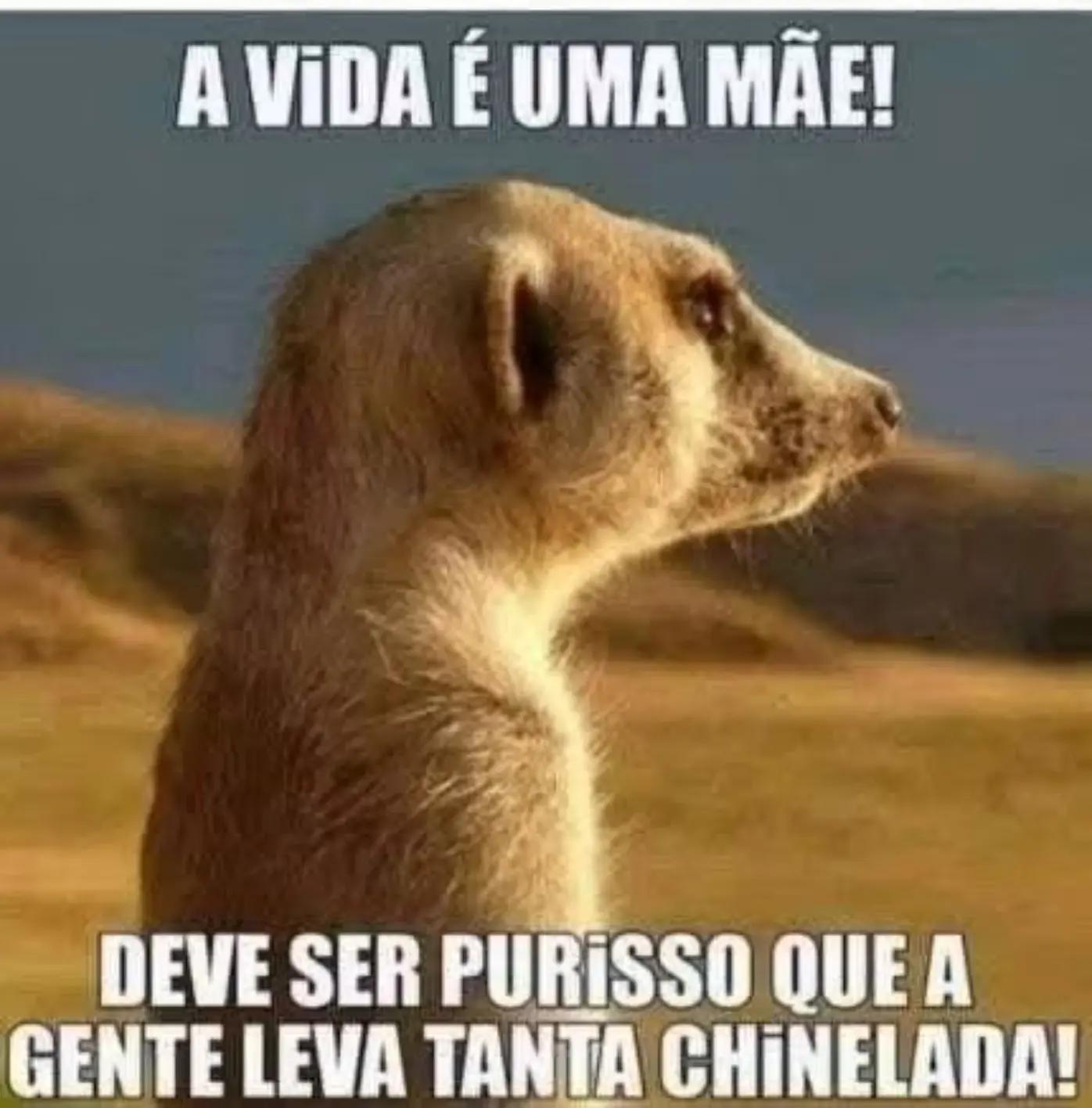 @Julinho
