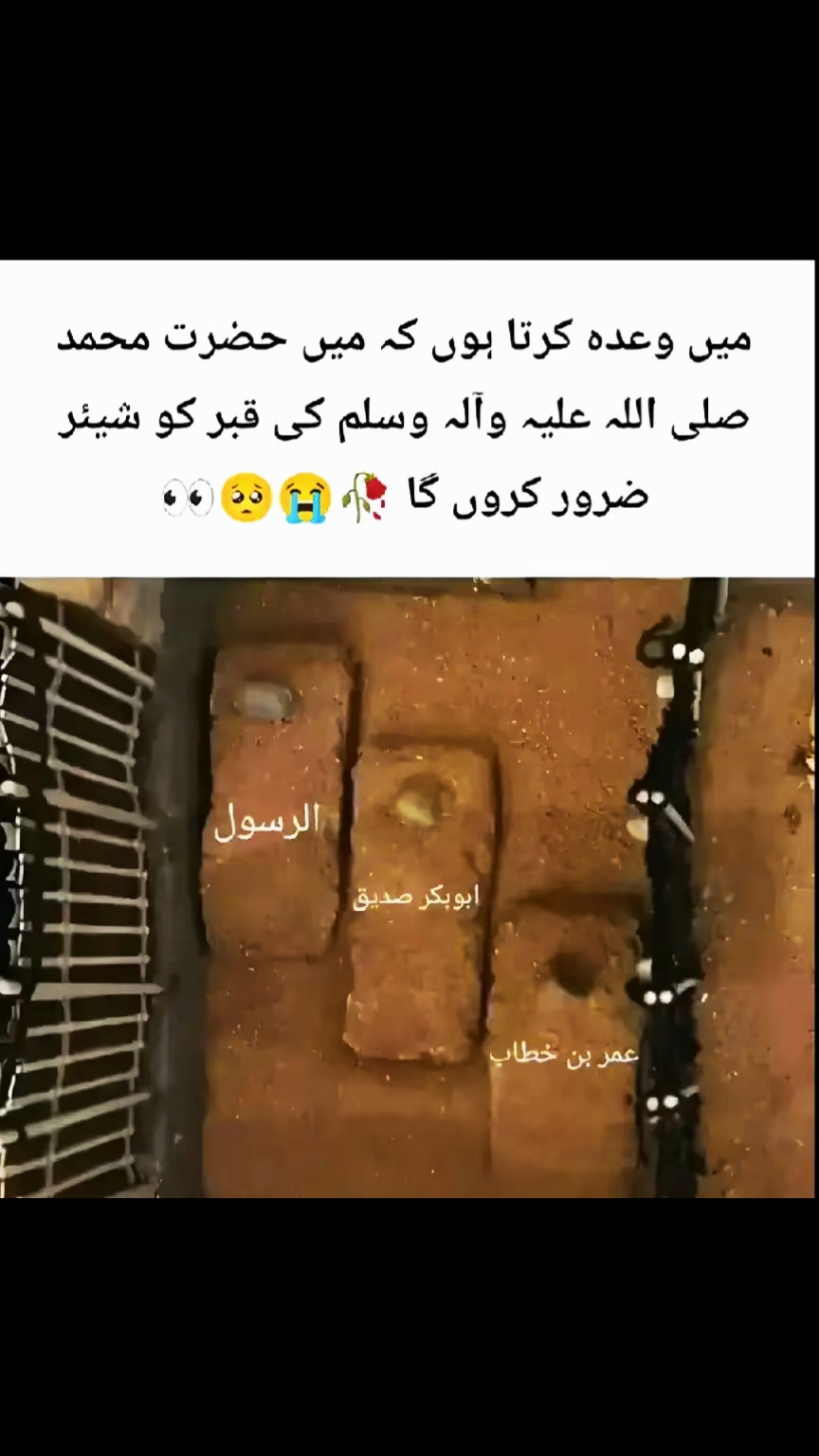 @Kaloo295