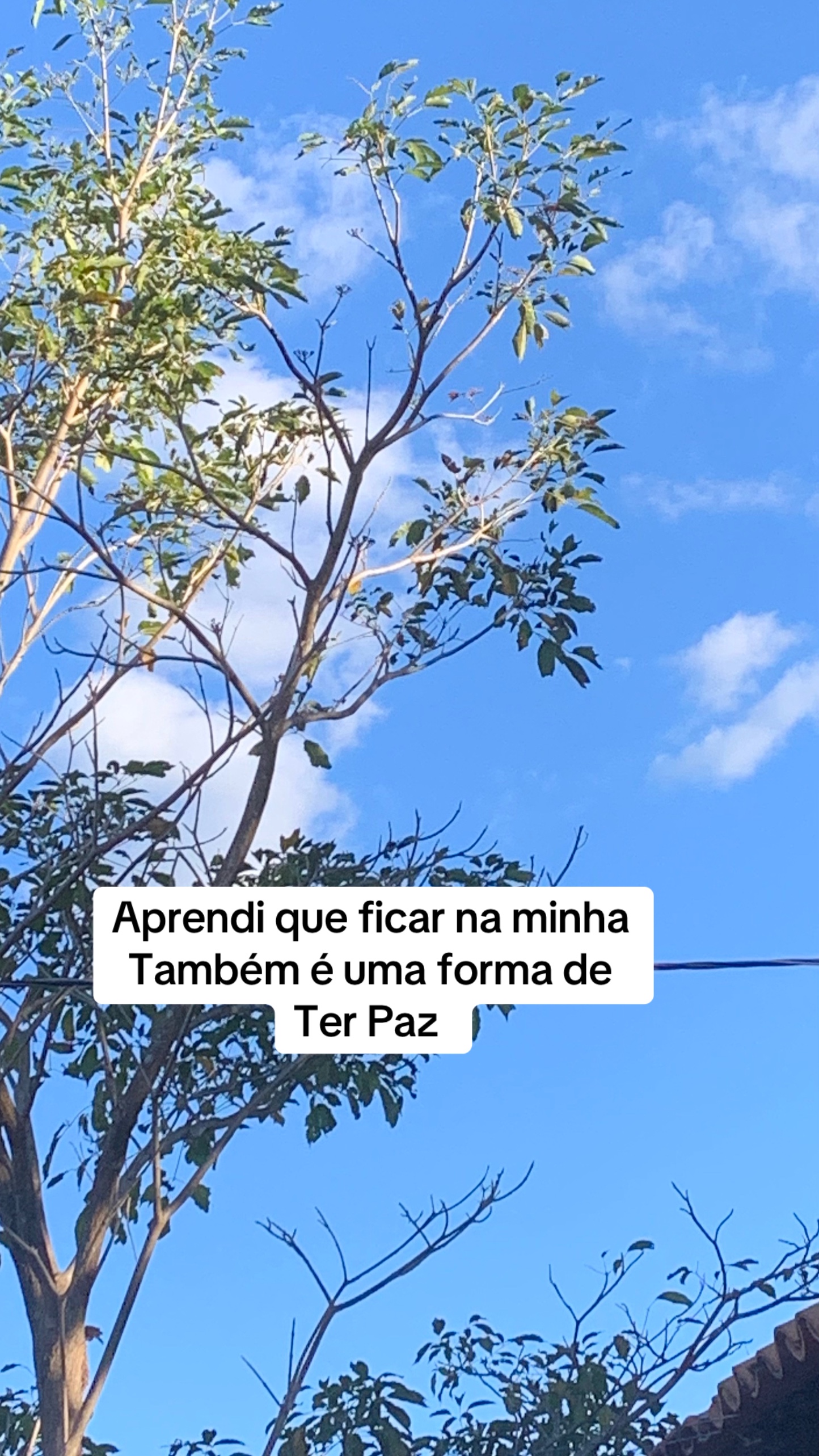 @Entre Laços