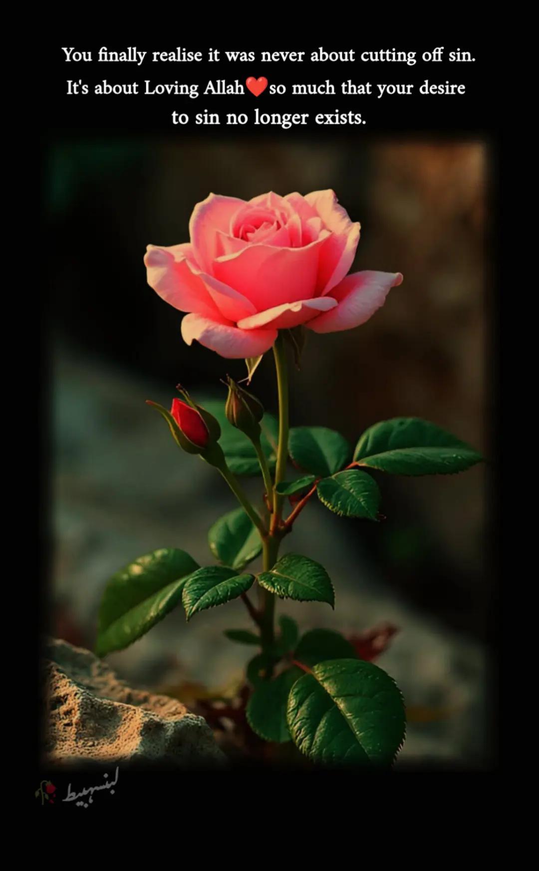 @لبنسہبیط✒️📖🥀
