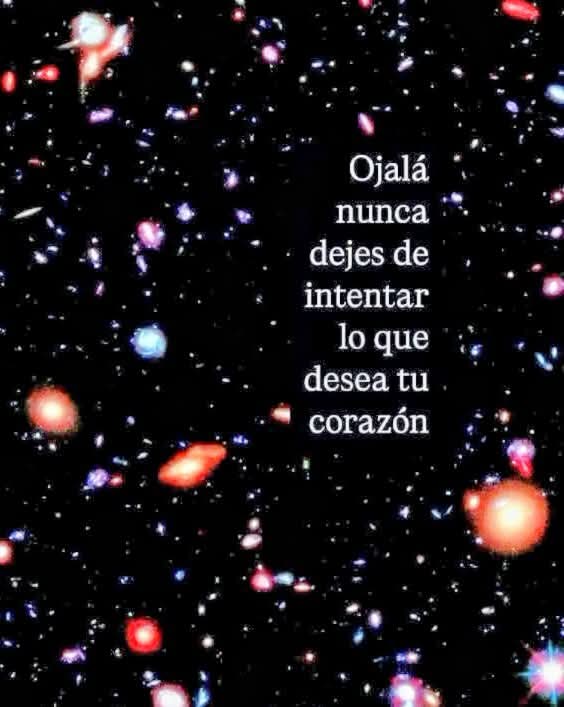 @yaz🌻✨🌟🌞🌛🐘🐘🐘🌞🌙✨🌟🌻
