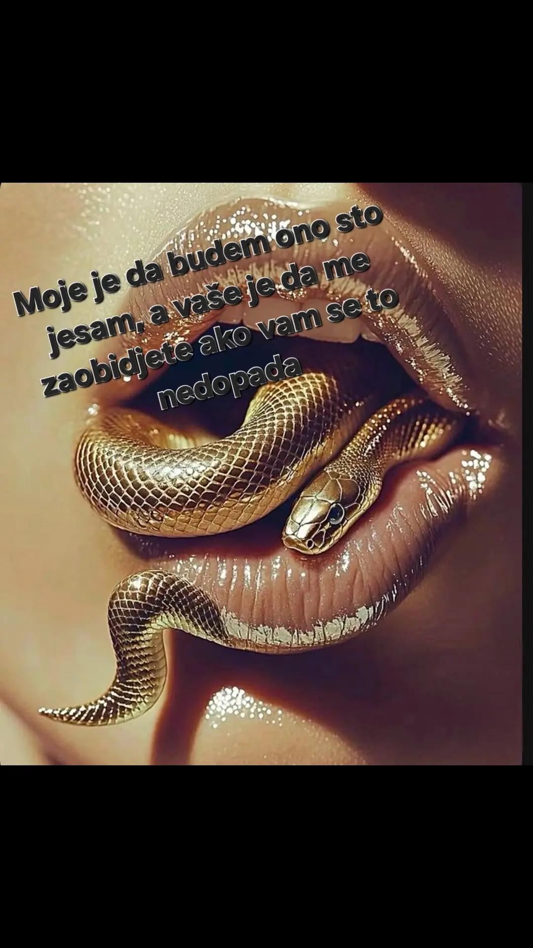 @Dragana ❤️