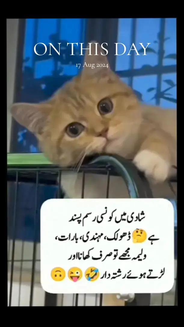 @Allah is Tha best