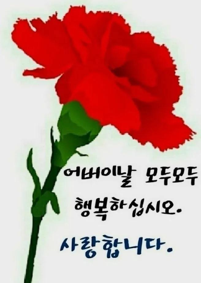 @🩵쪼롱이살응해🩵