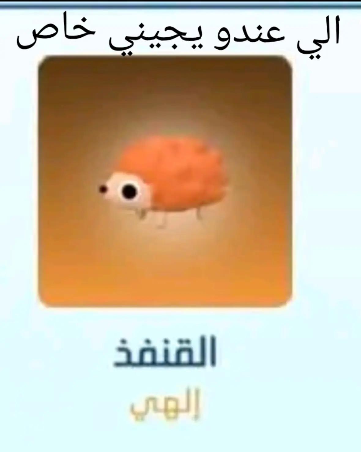 @ᴀɪᴢᴇɴ