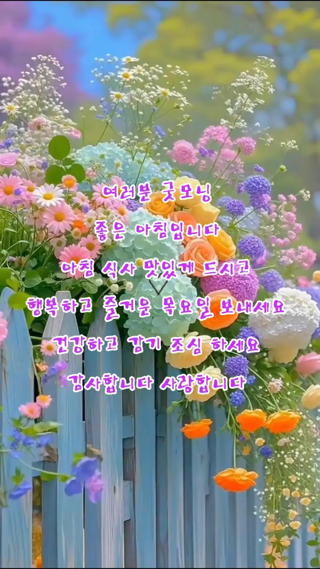 @jjh