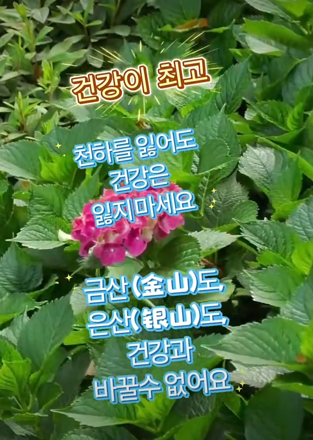 @자유로운 영혼
