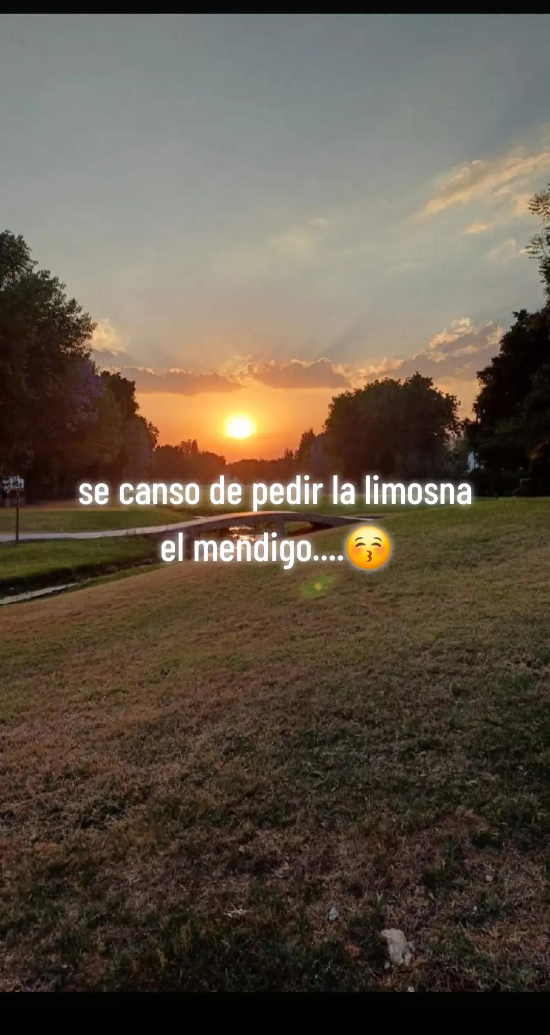 @manequide 871