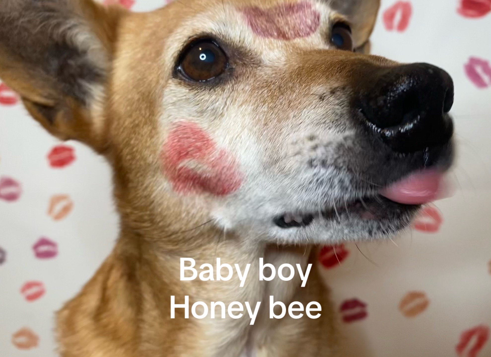 @Hannah Romano