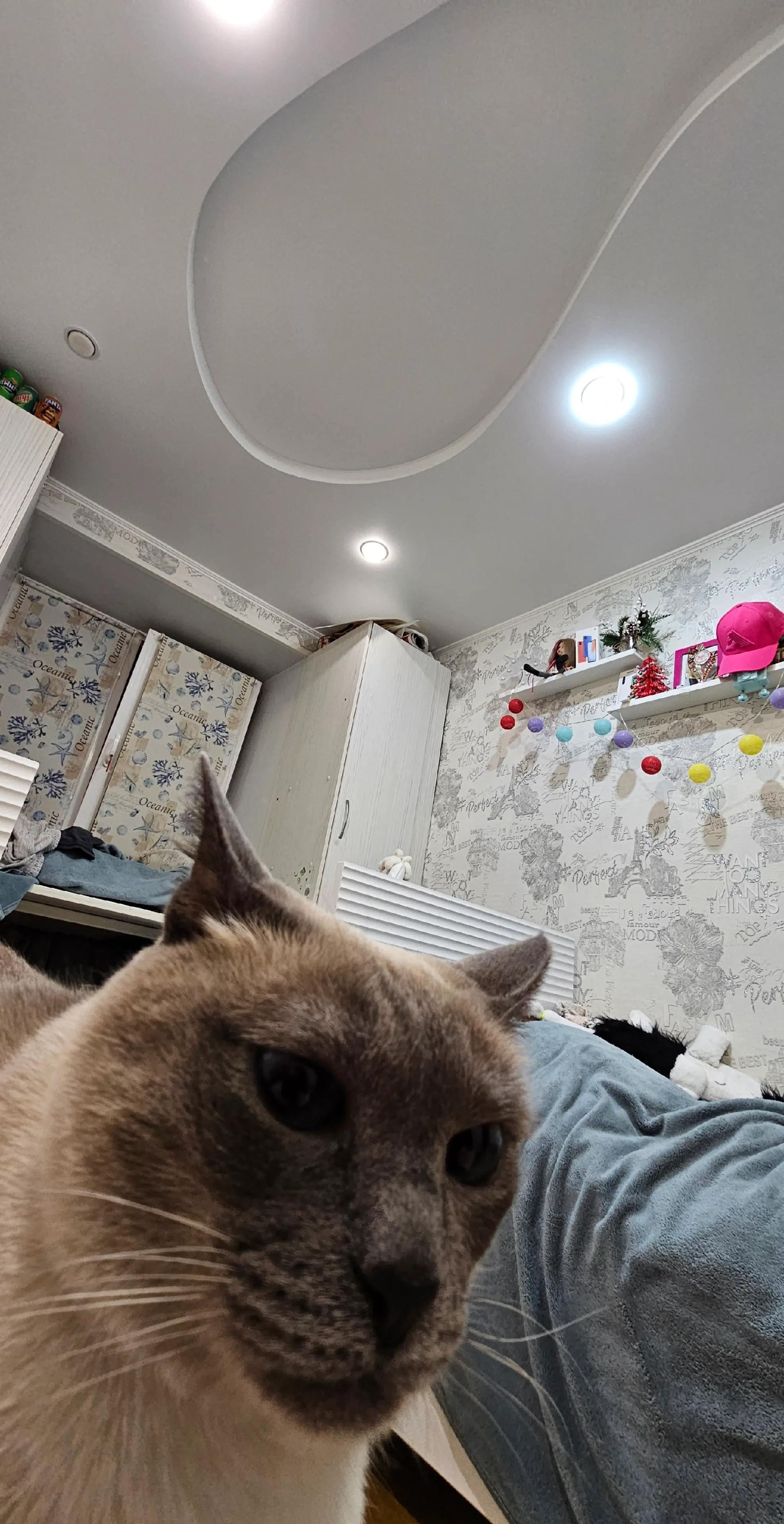 @артурус, а кто же ещё?