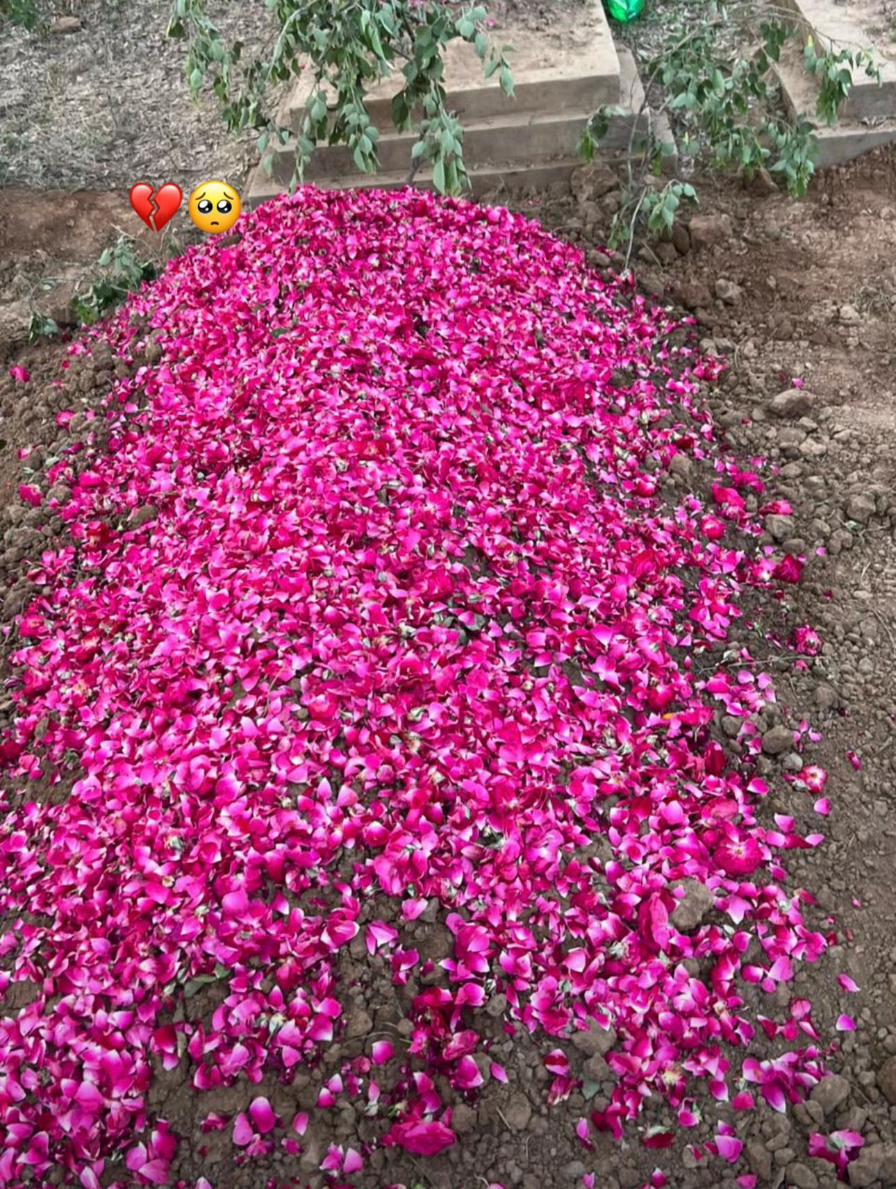@عمر وڑائچ😉🥀