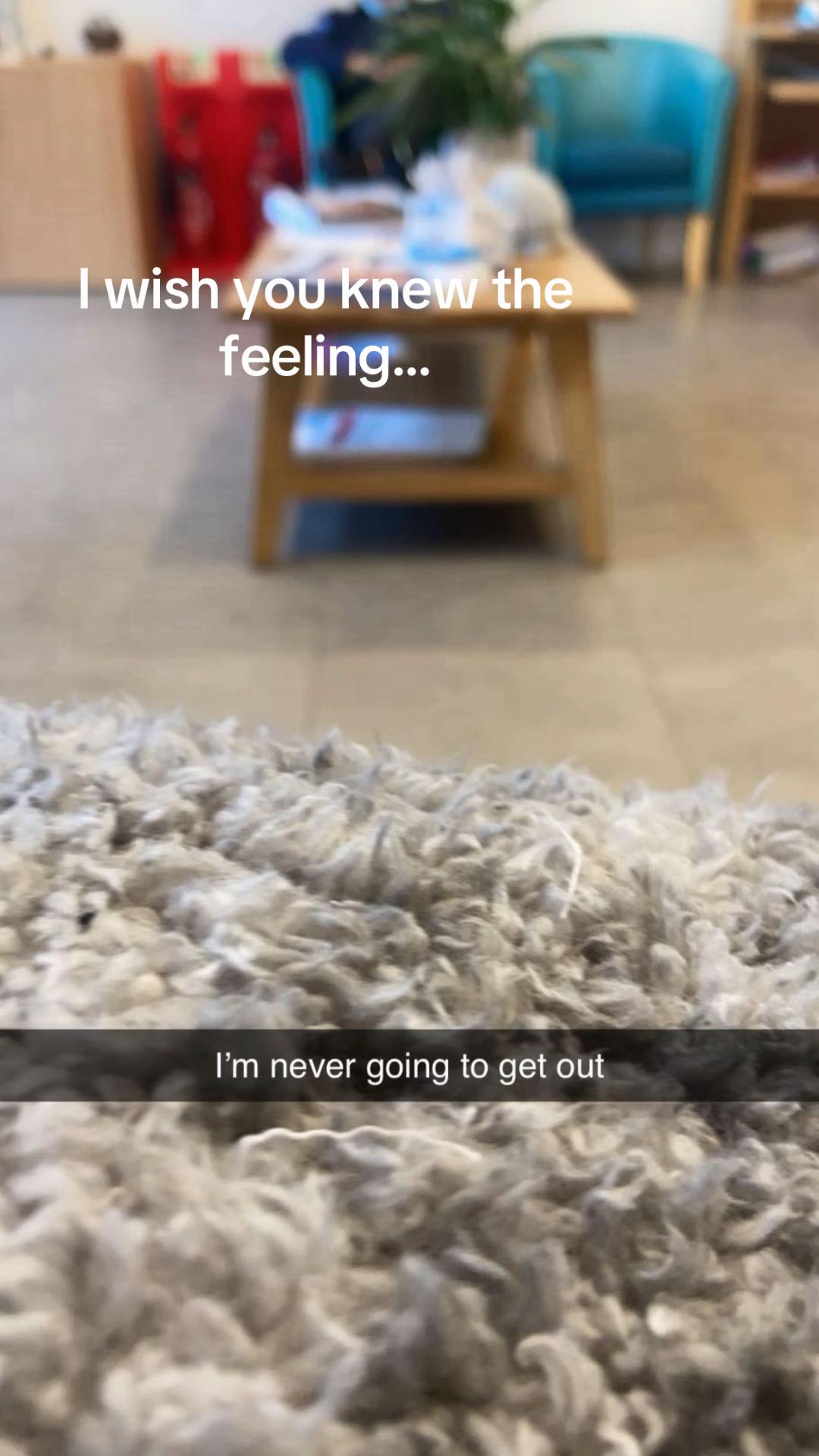 @freyasxox