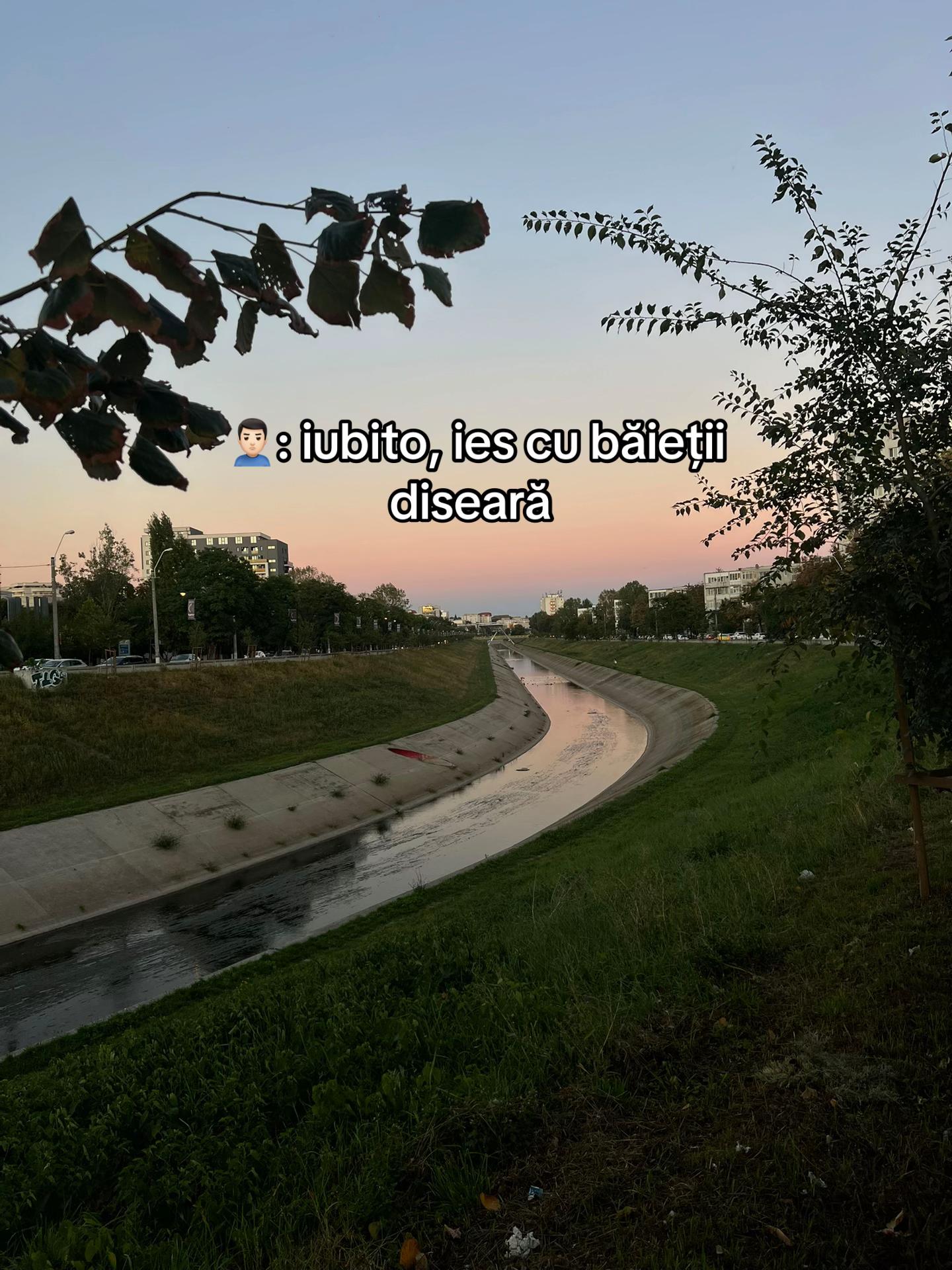 @Mihaela