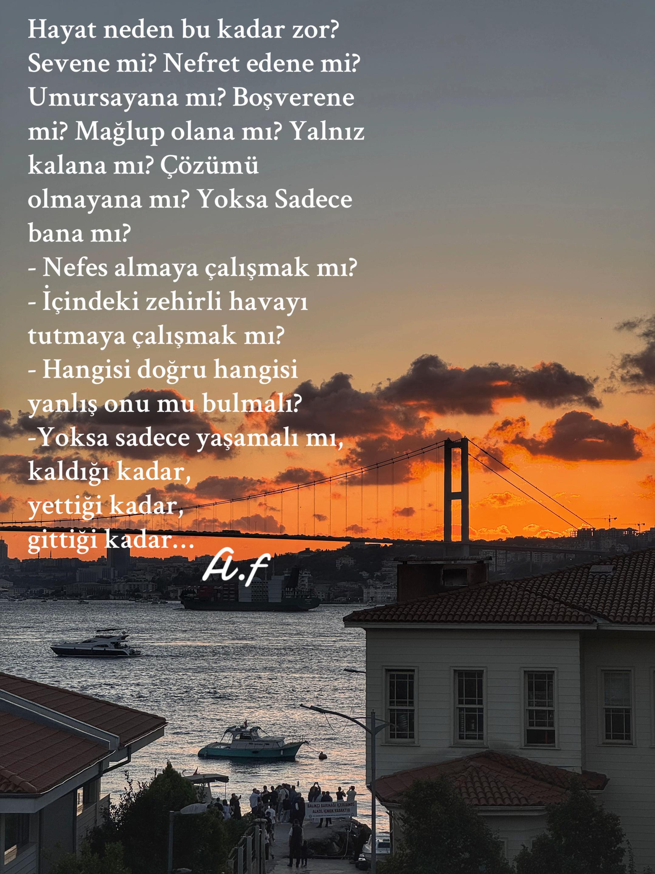 @alptekin