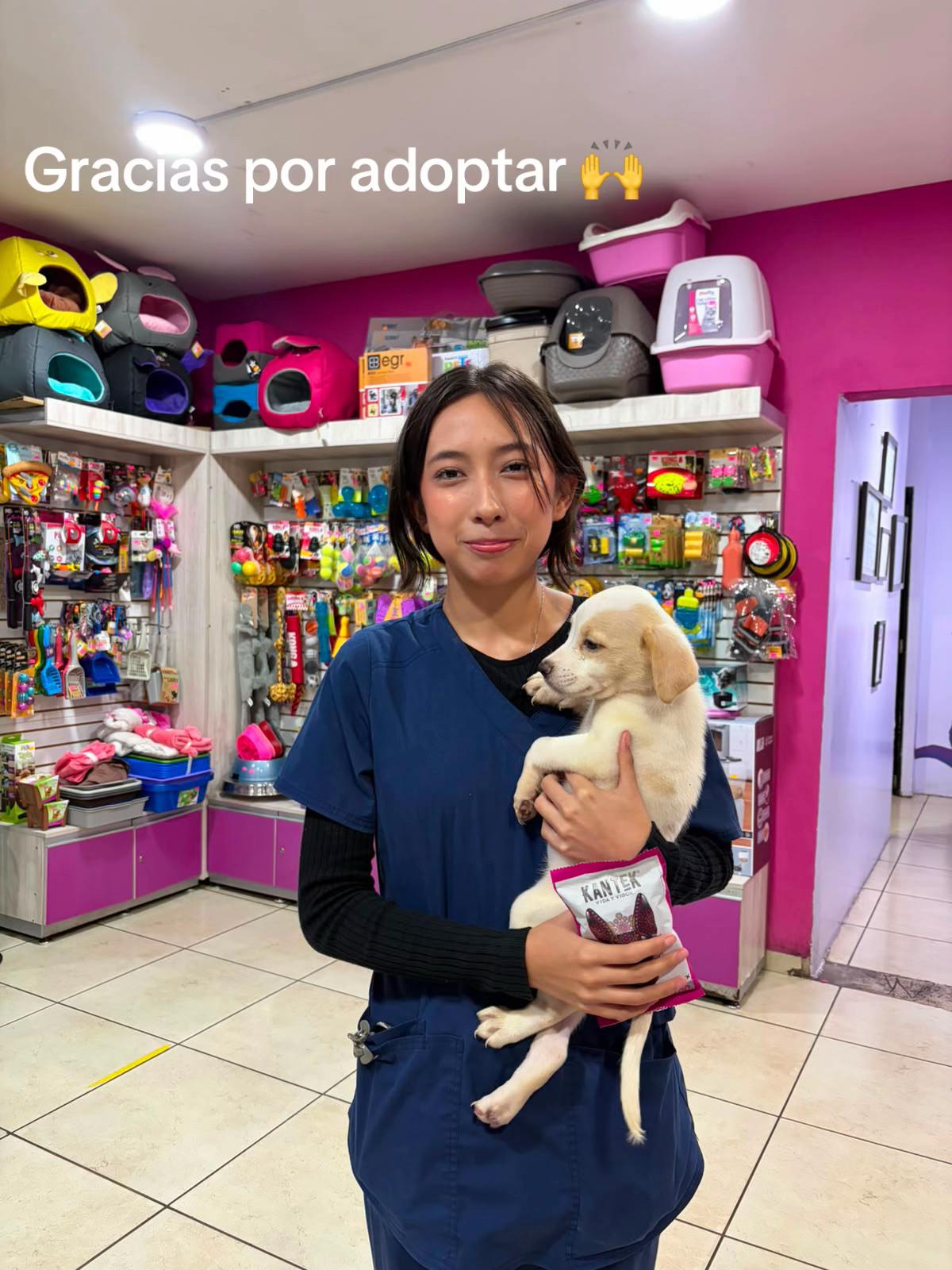 @Chocoburbujas 🐾
