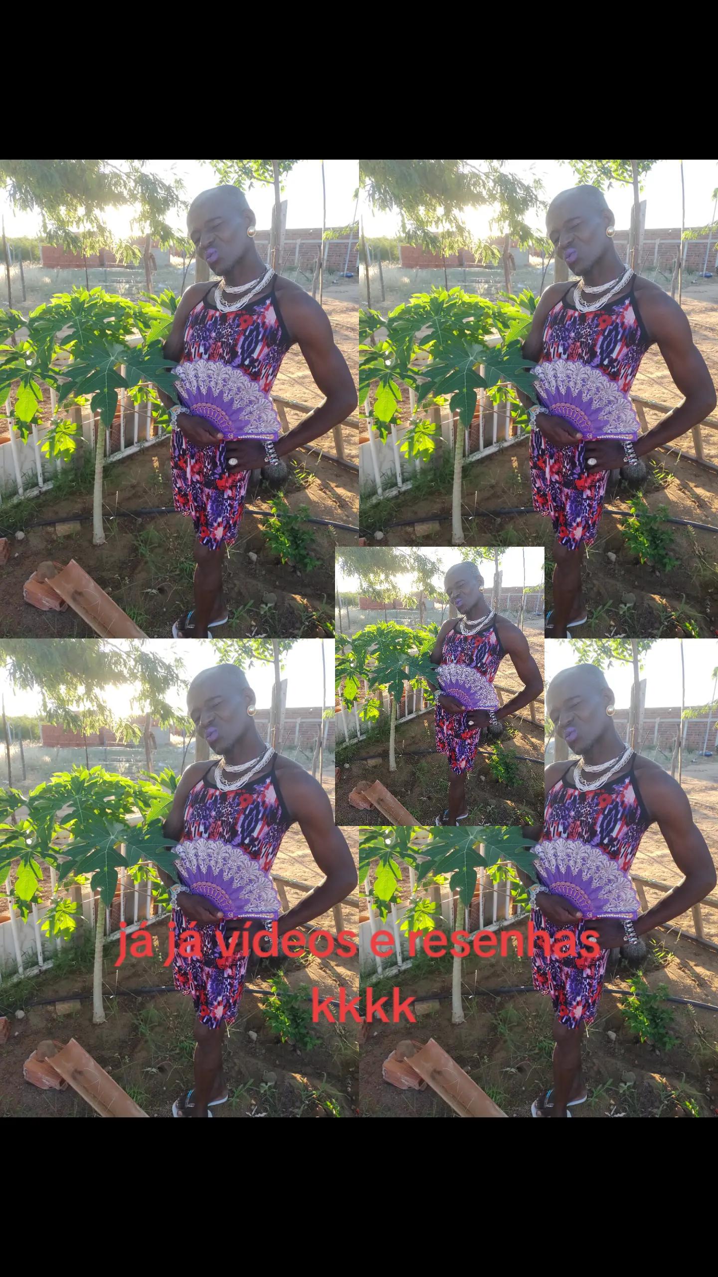 @vera ver&atilde;o do nordeste