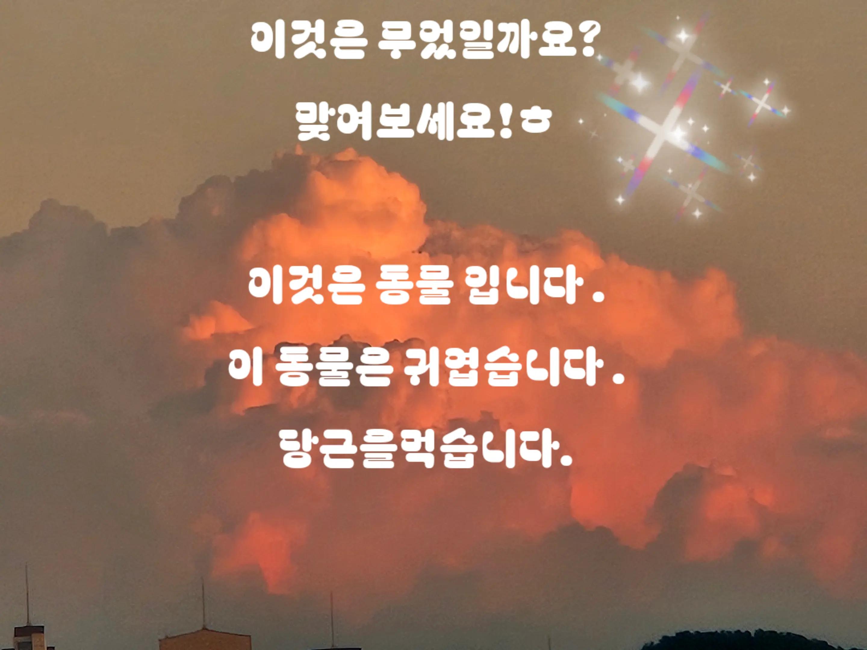 @태권소녀