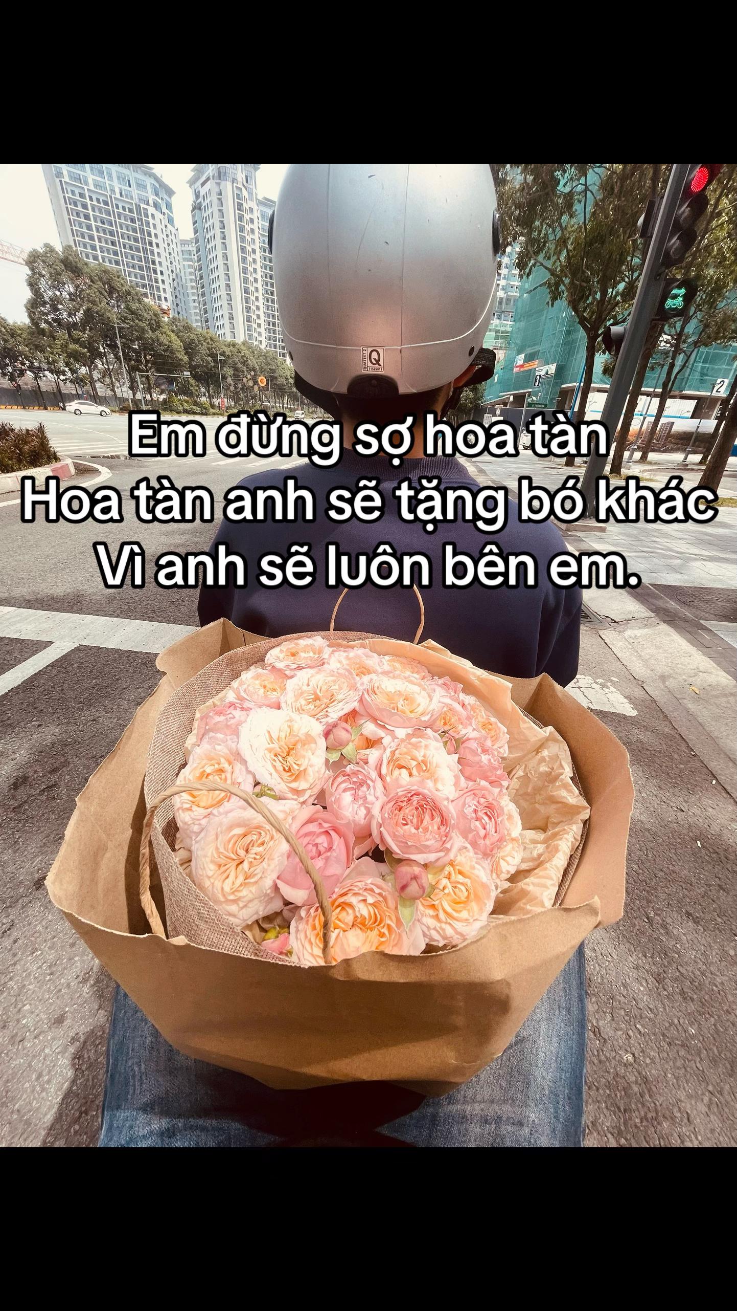 @Dương Quang Tuyến✈️