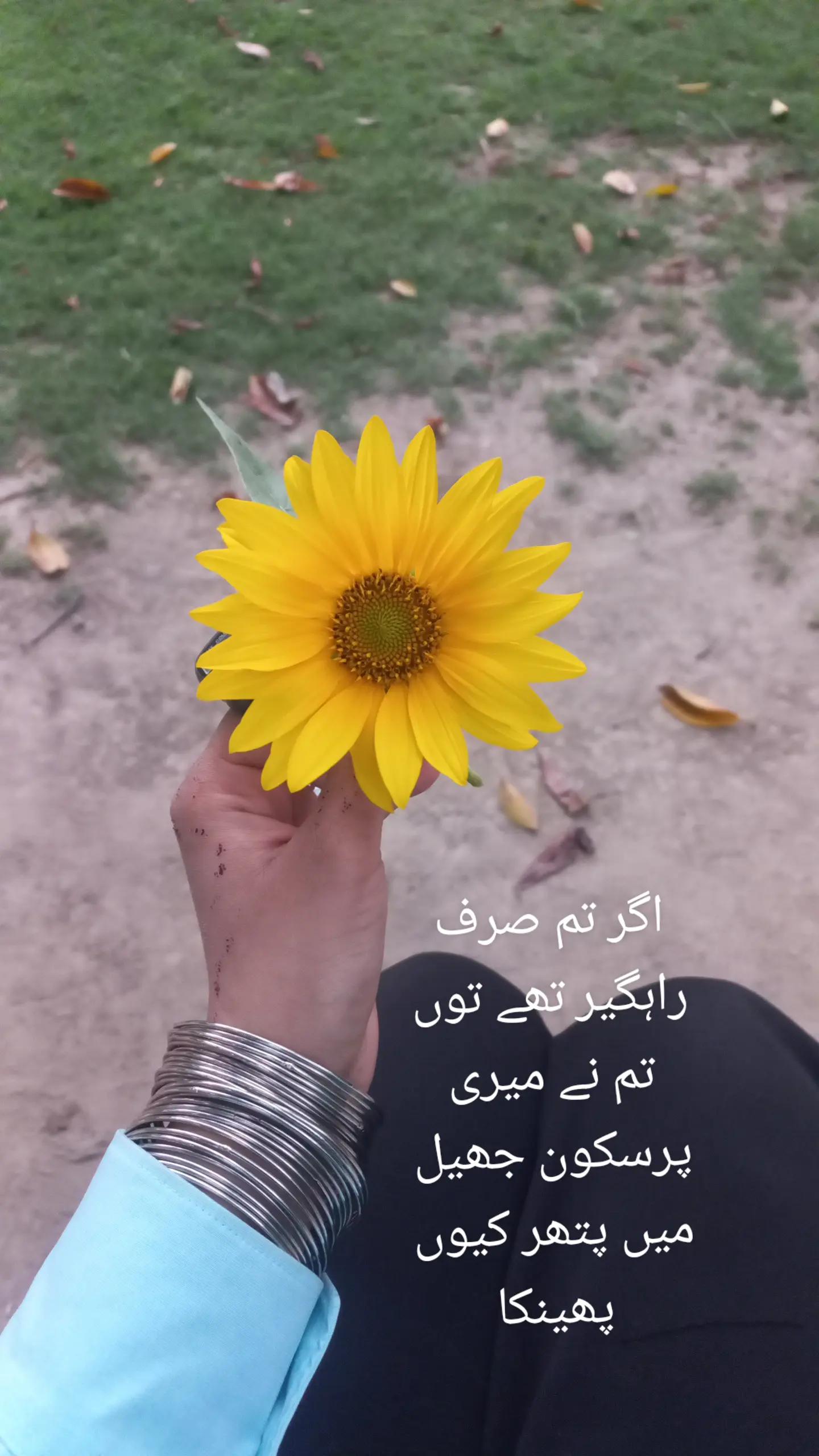@I'm just a girl💌