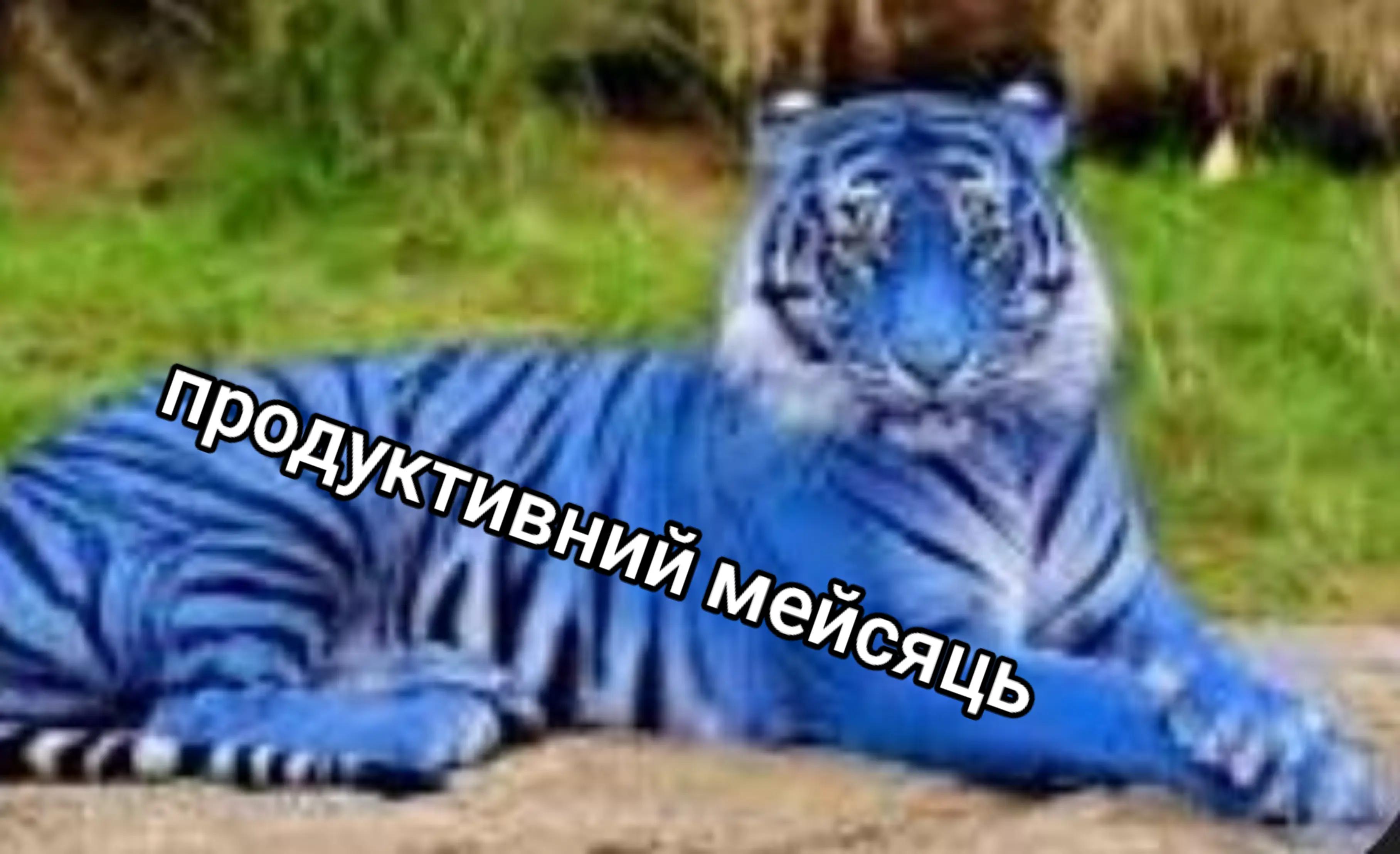 @кизили