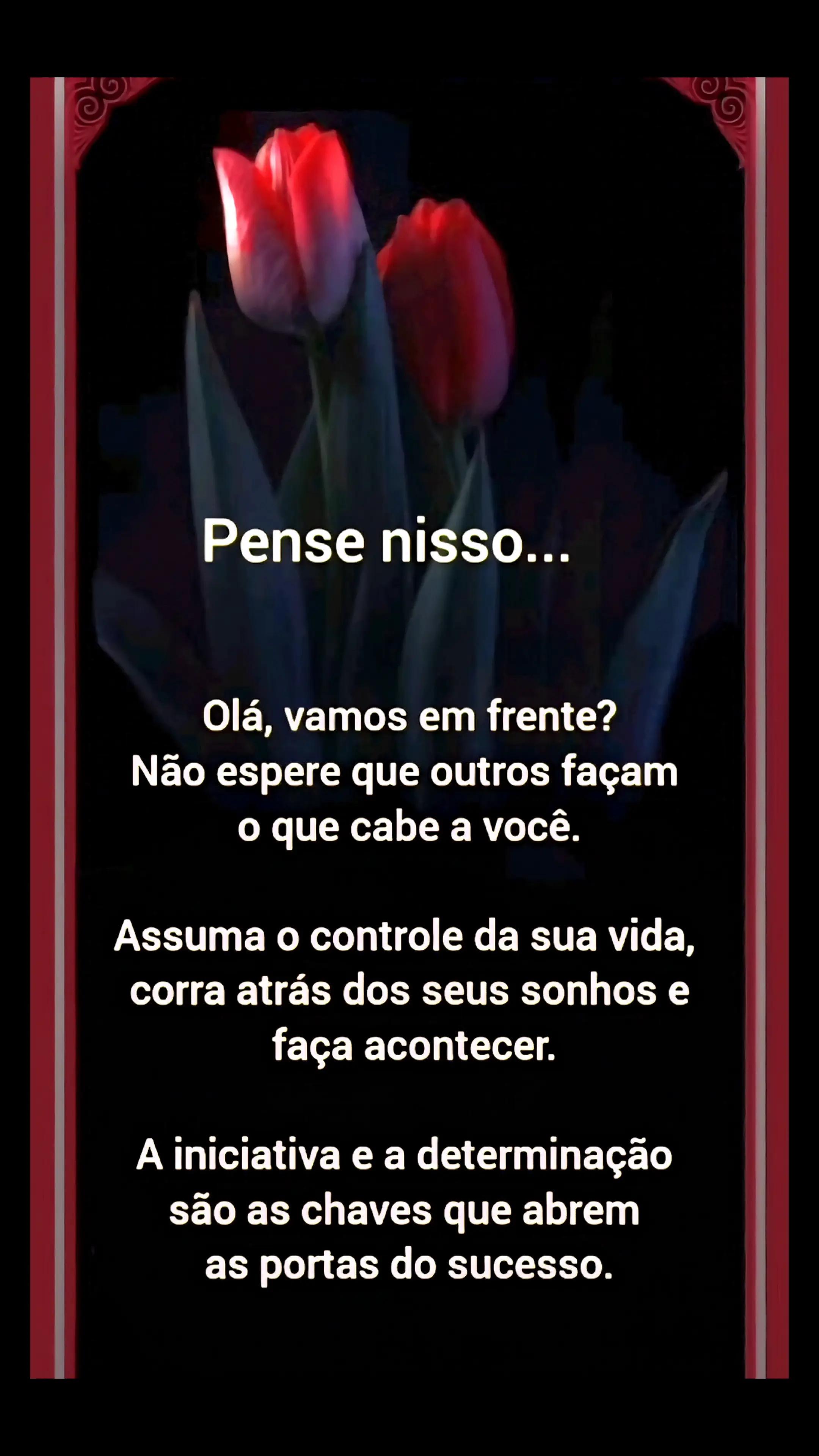 @MÚSICA É VIDA