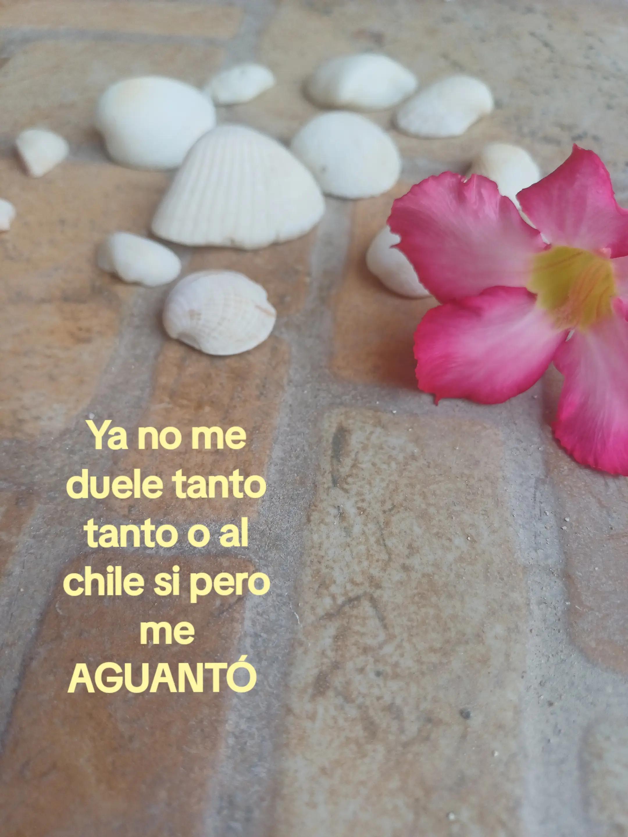 @BRITO🌠