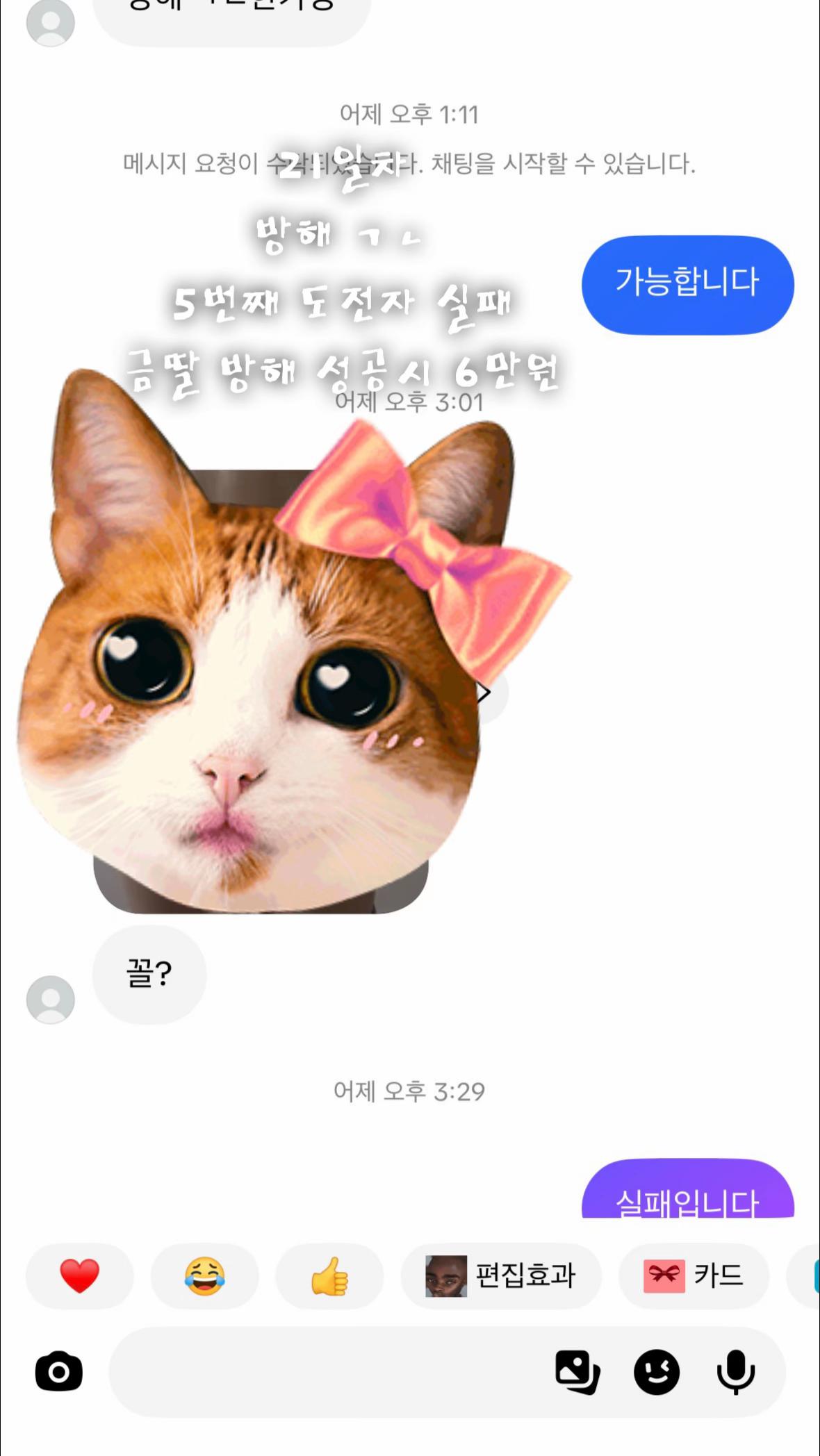 @금딸