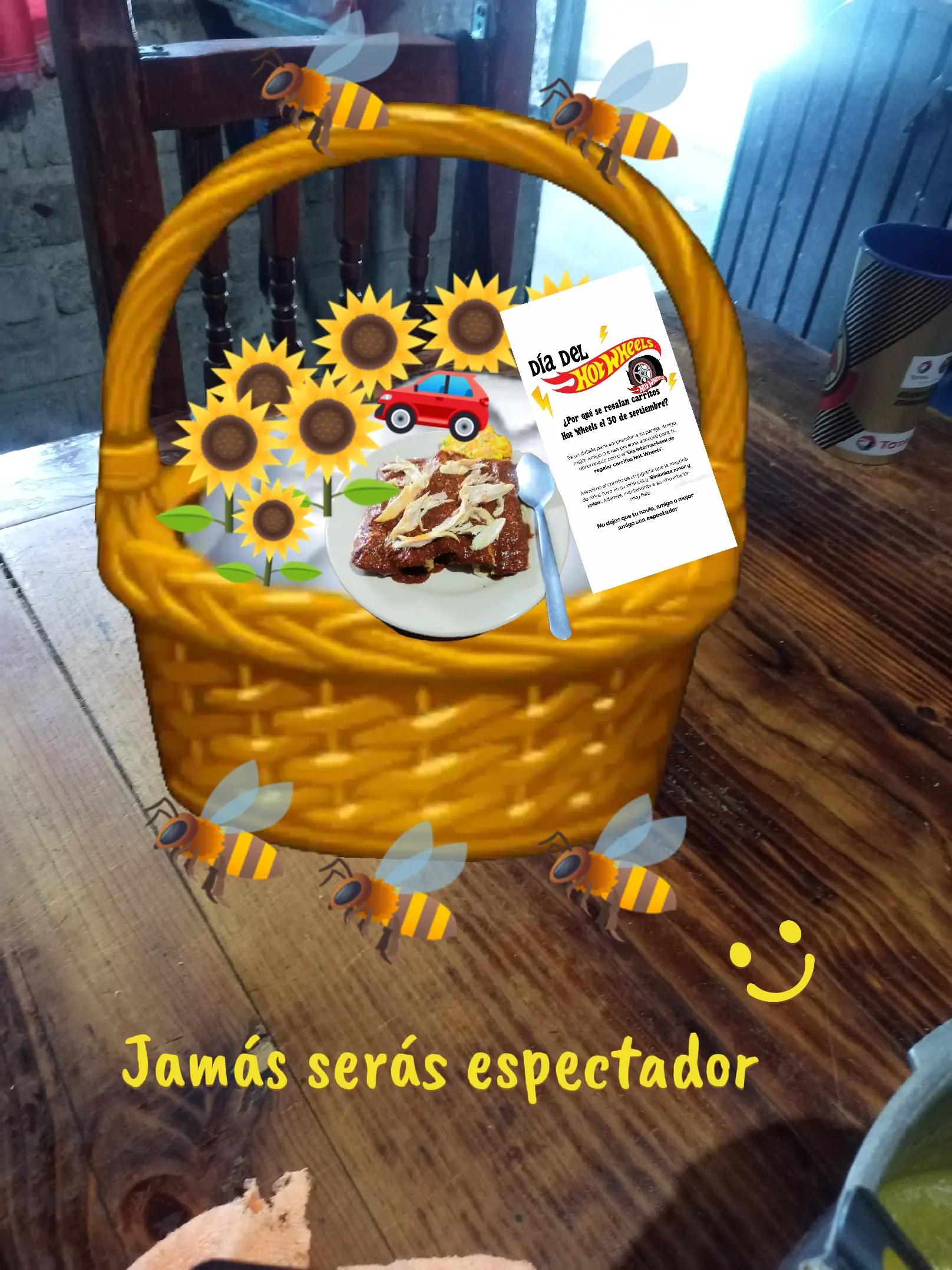 @Alondra Godinez