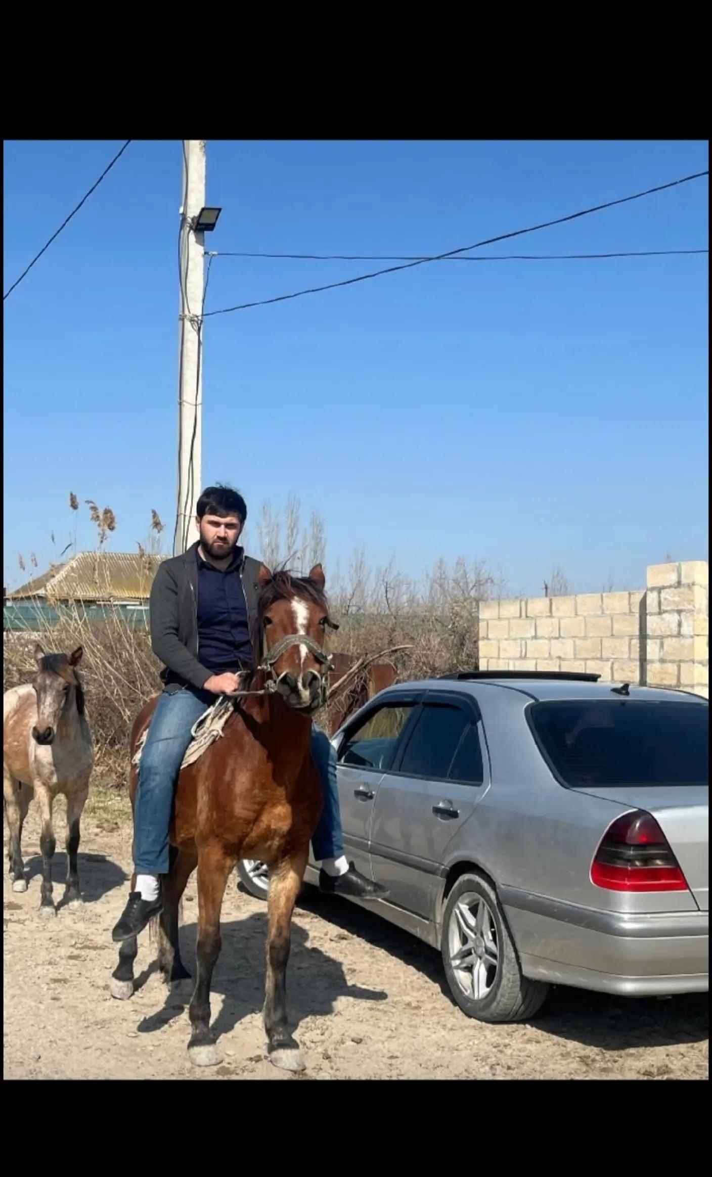 @Элчин