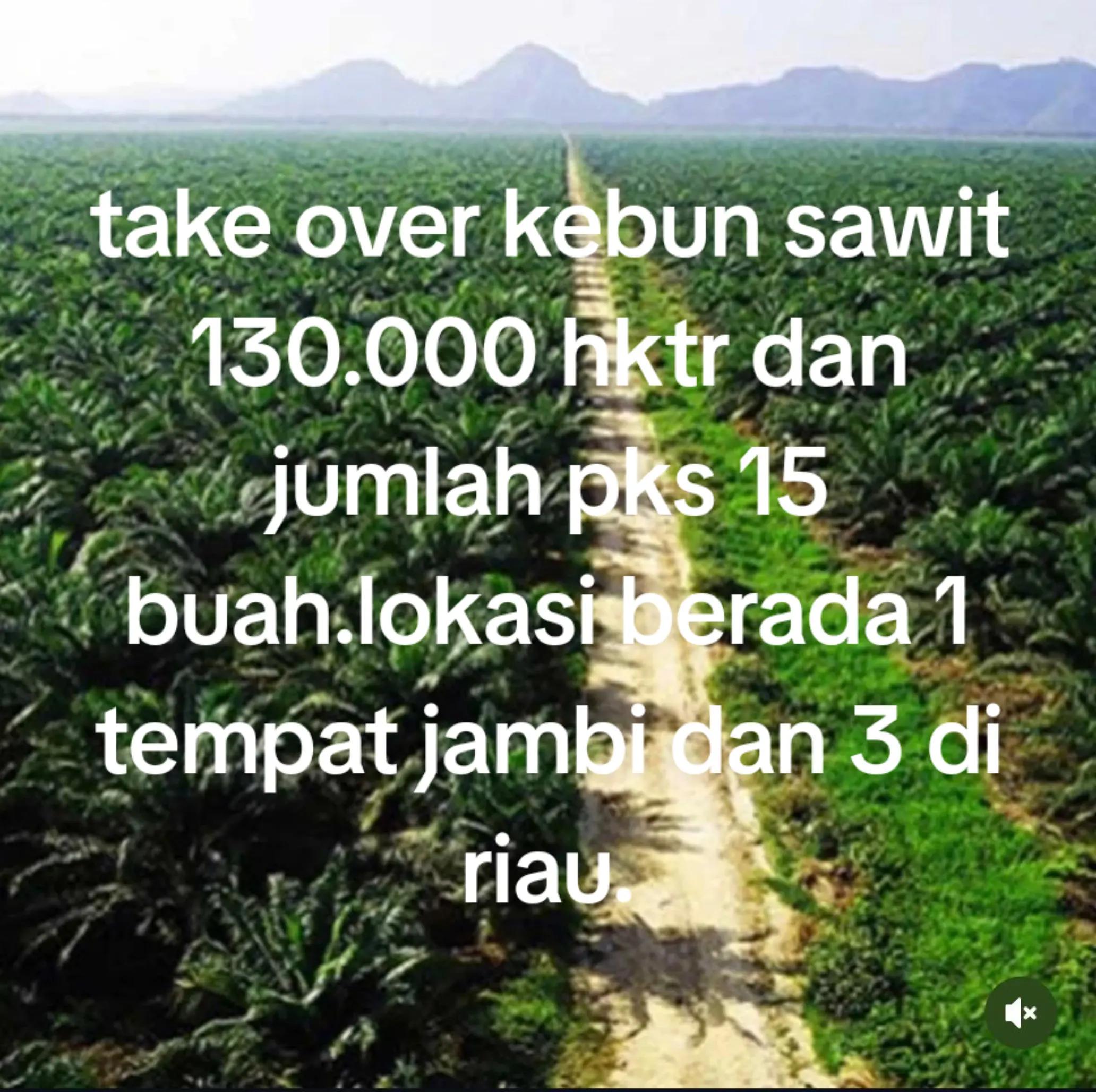 @duo property pku