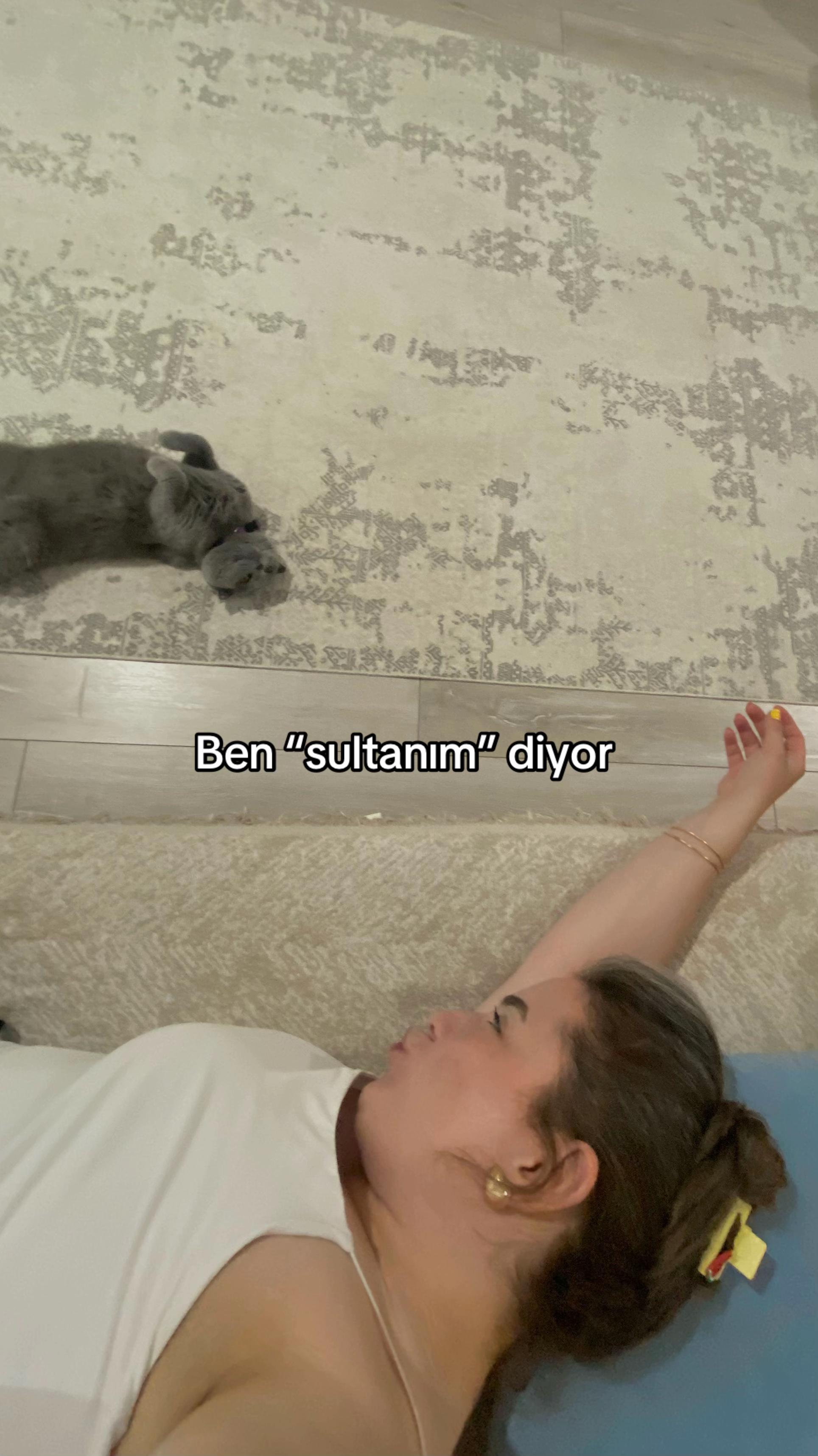 @Mındık anşa