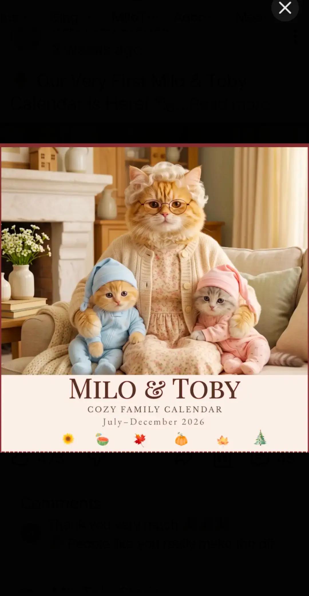 @meow meow mama💞🐾