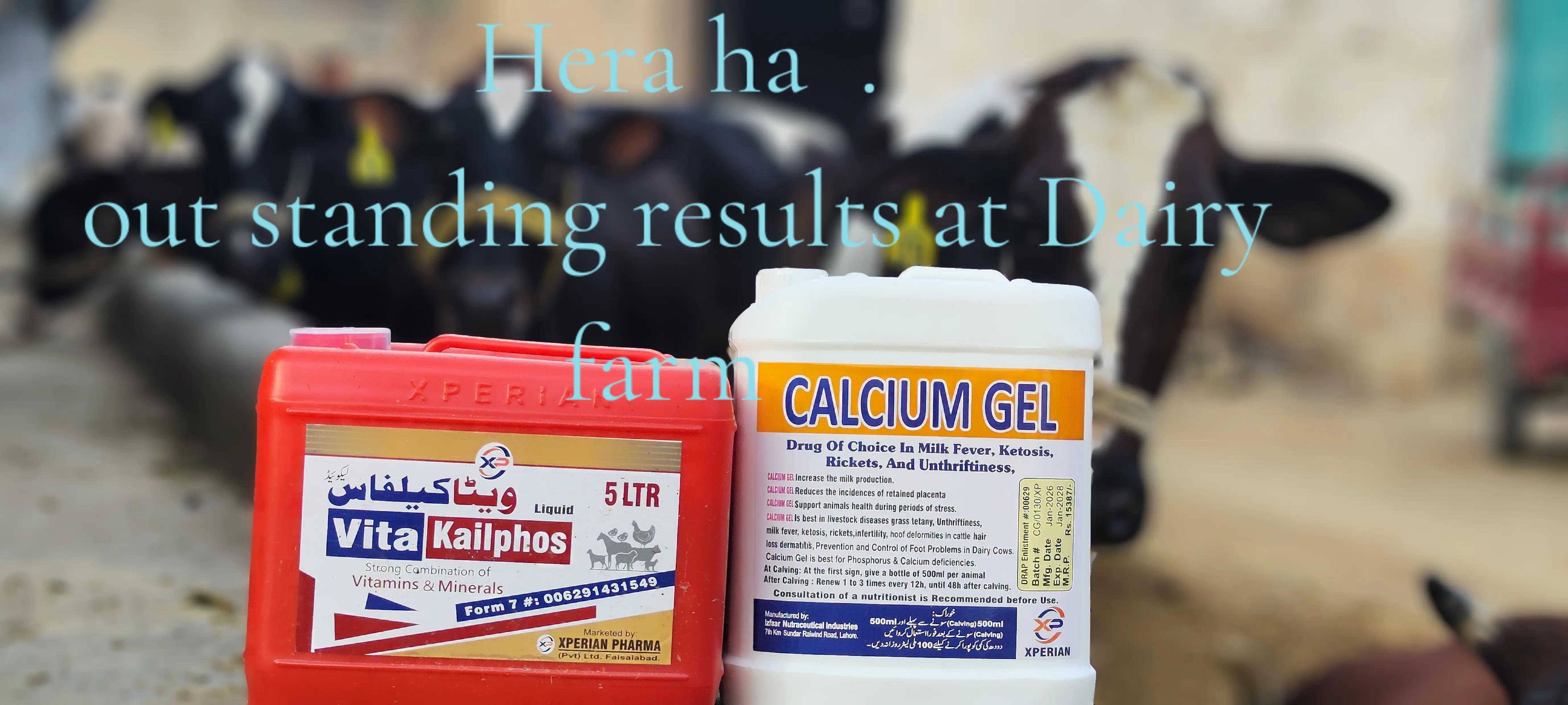 @𝐃𝐨𝐜𝐭𝐨𝐫 𝐇𝐚𝐦𝐳𝐚 𝐀𝐥𝐢
