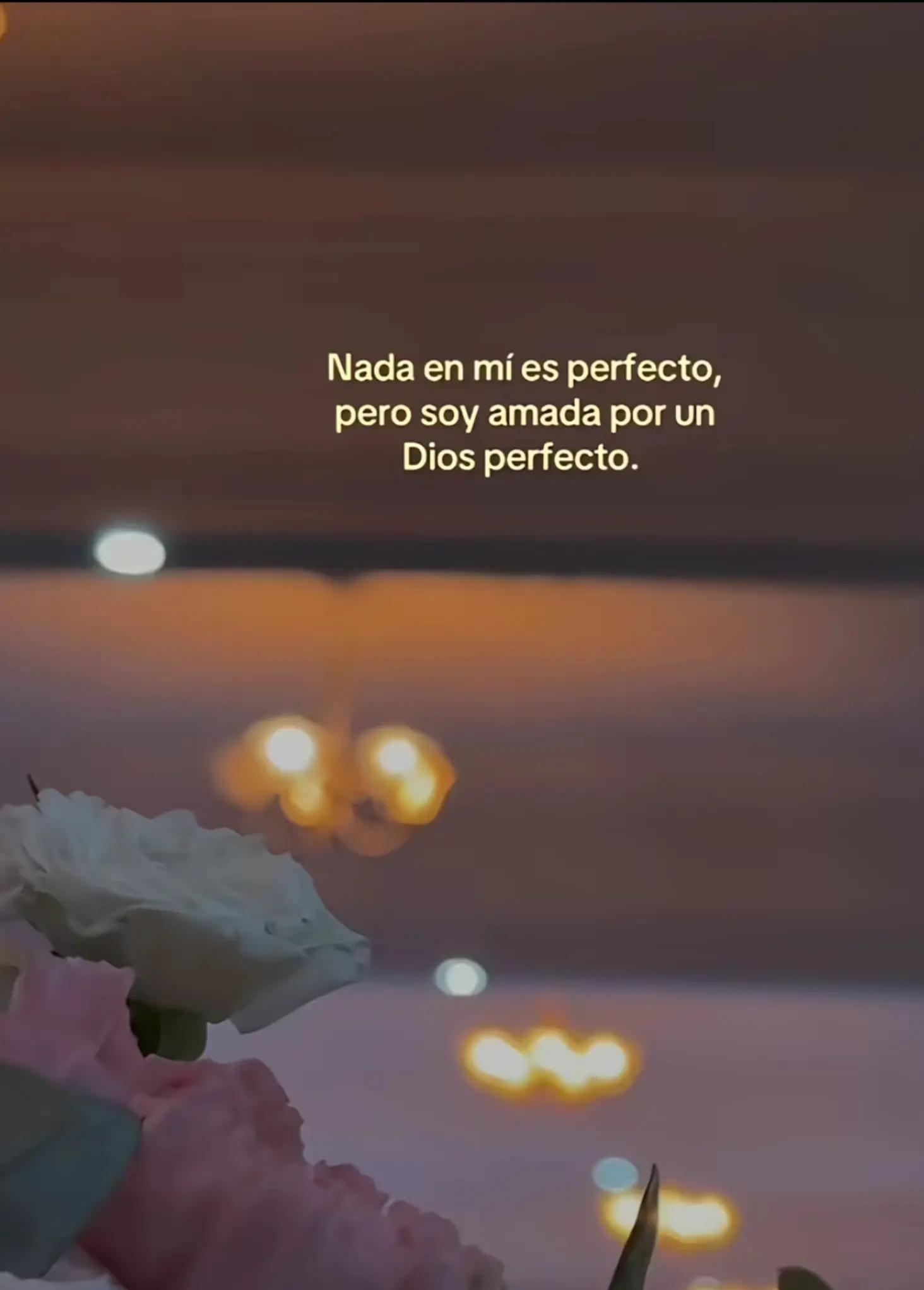 @vanessa 🌵🌻🍃