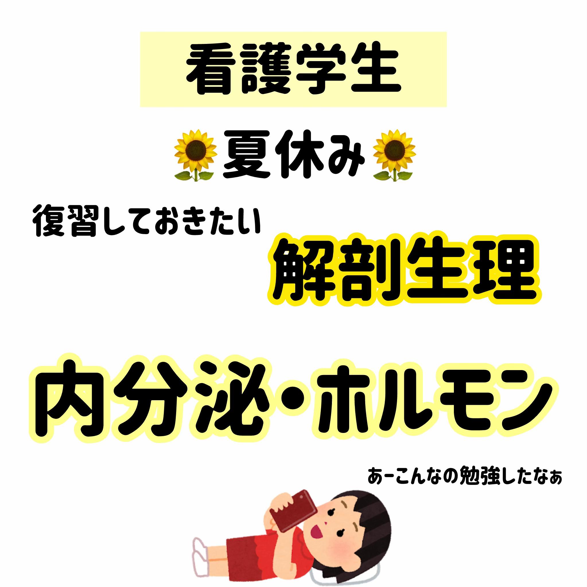 @ももんが看護