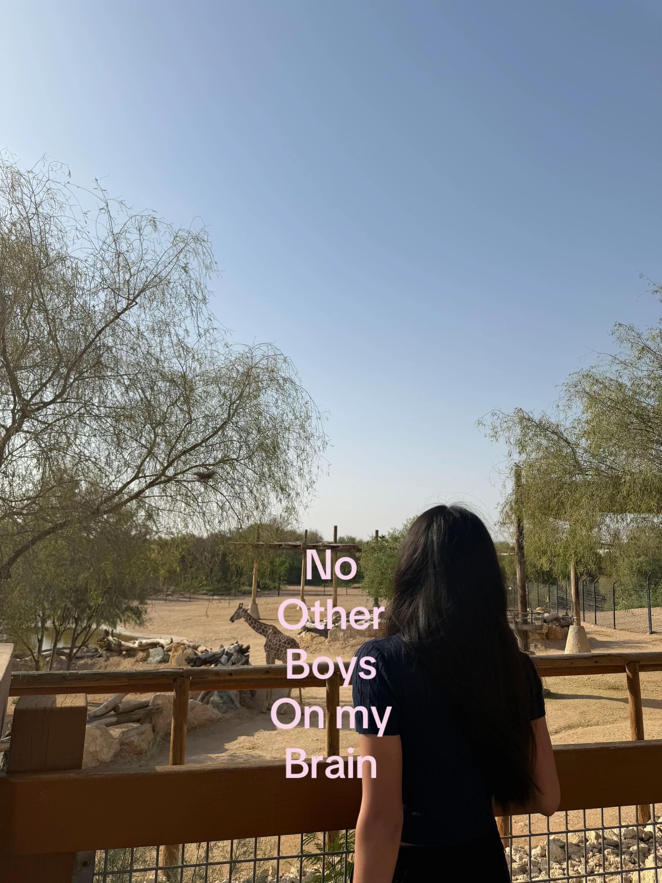 @Ni ka