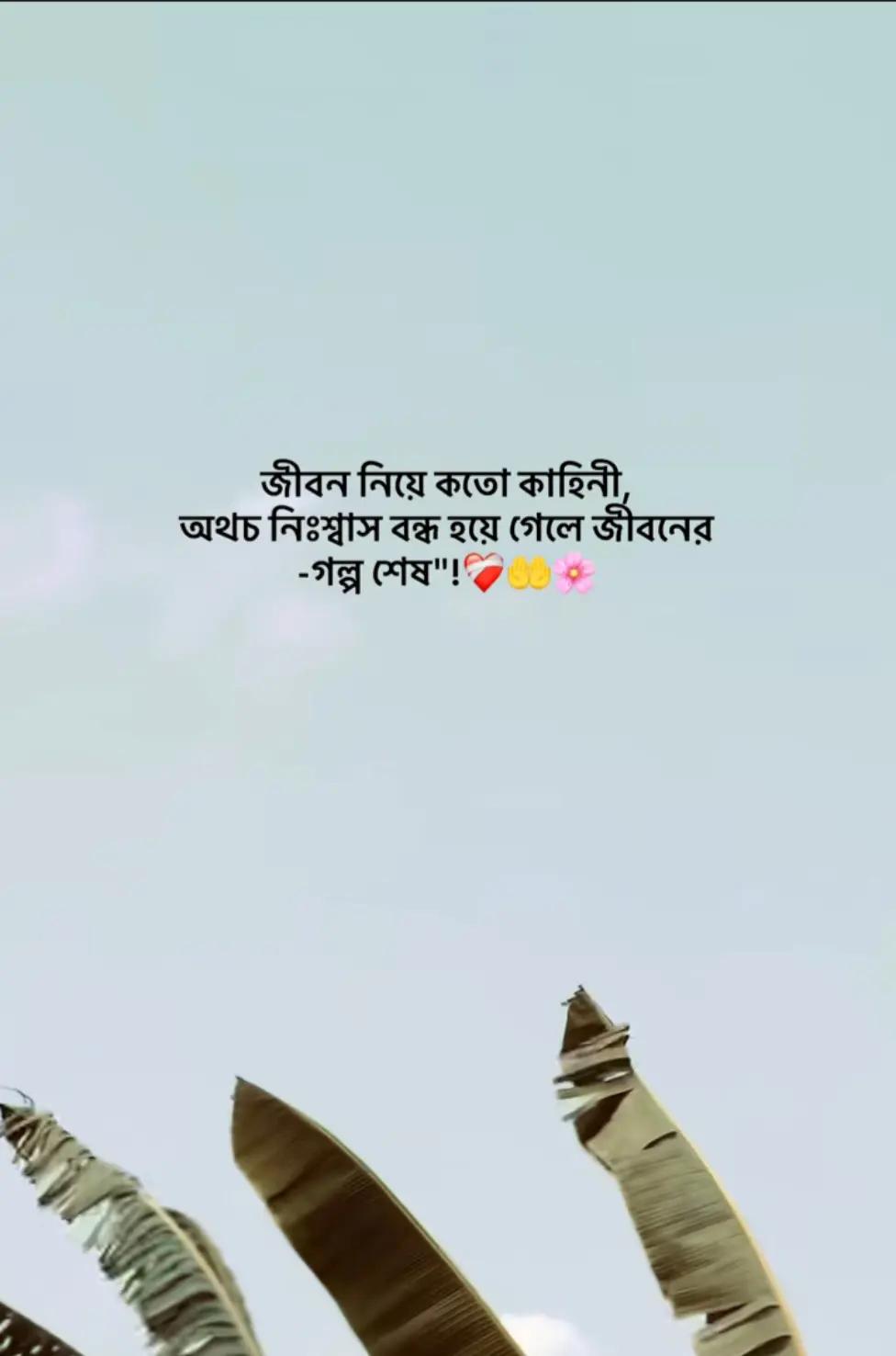 @Ahmed hasan.🕊️✨