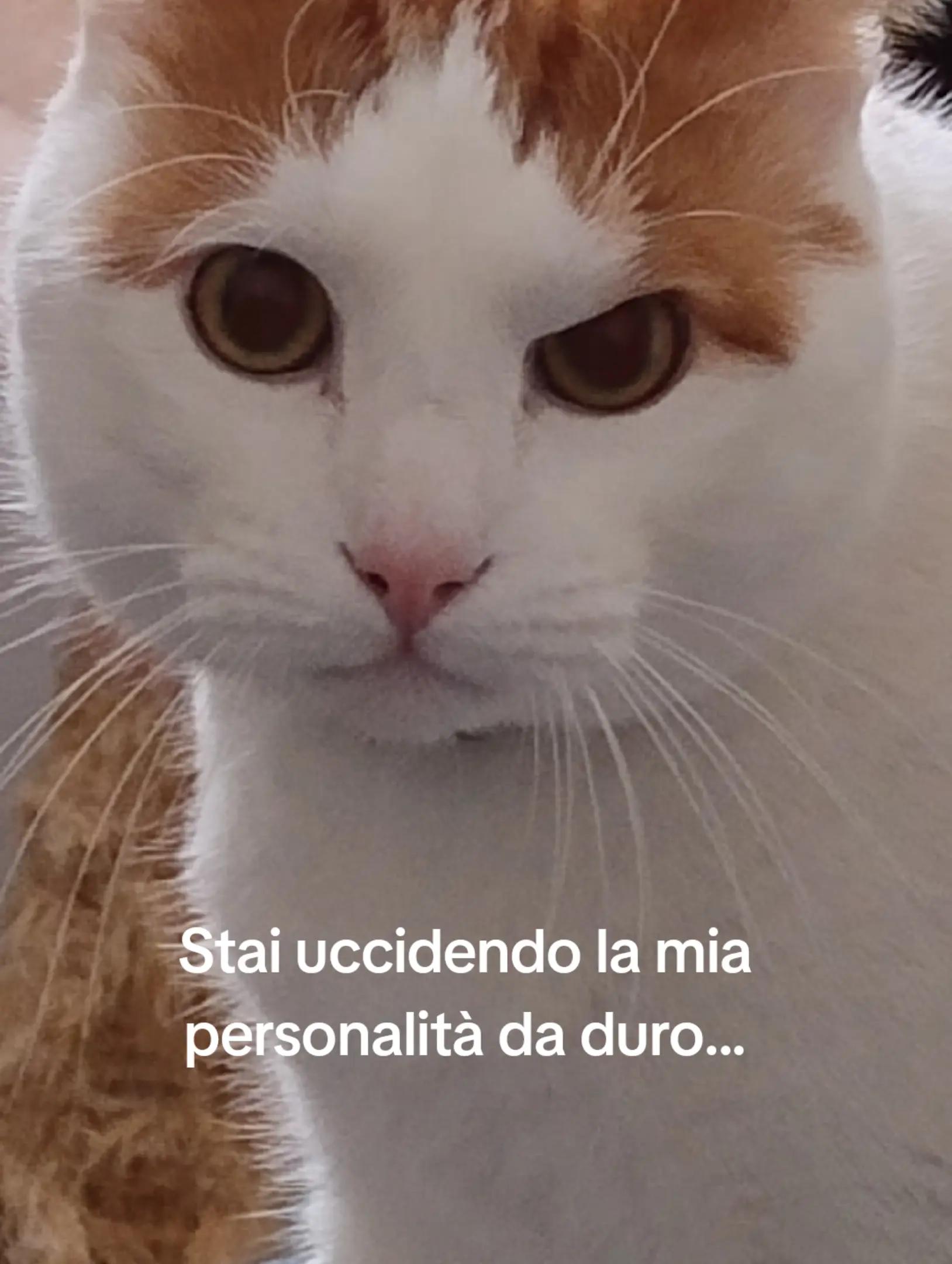 @Rebecca Domina