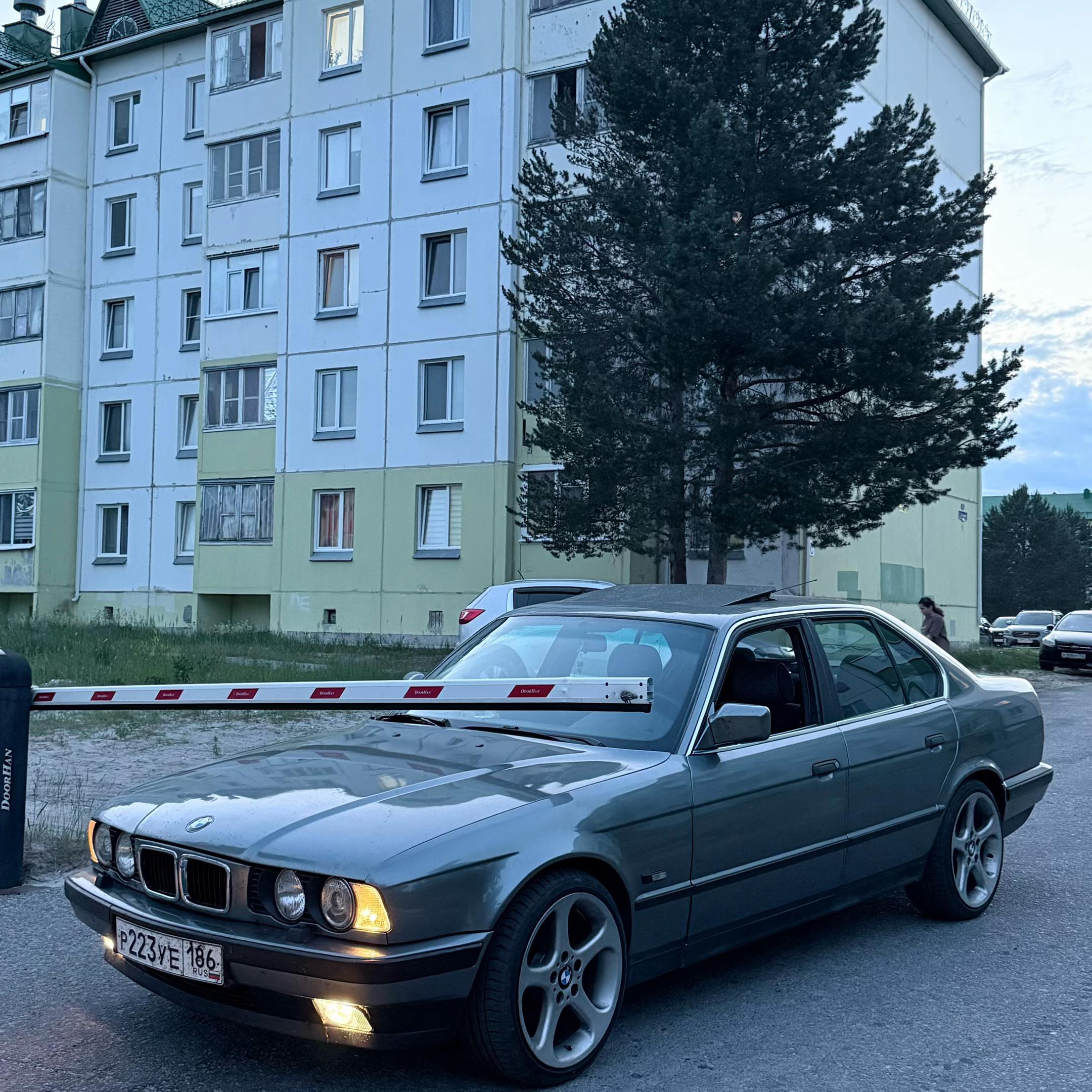 @ямиша