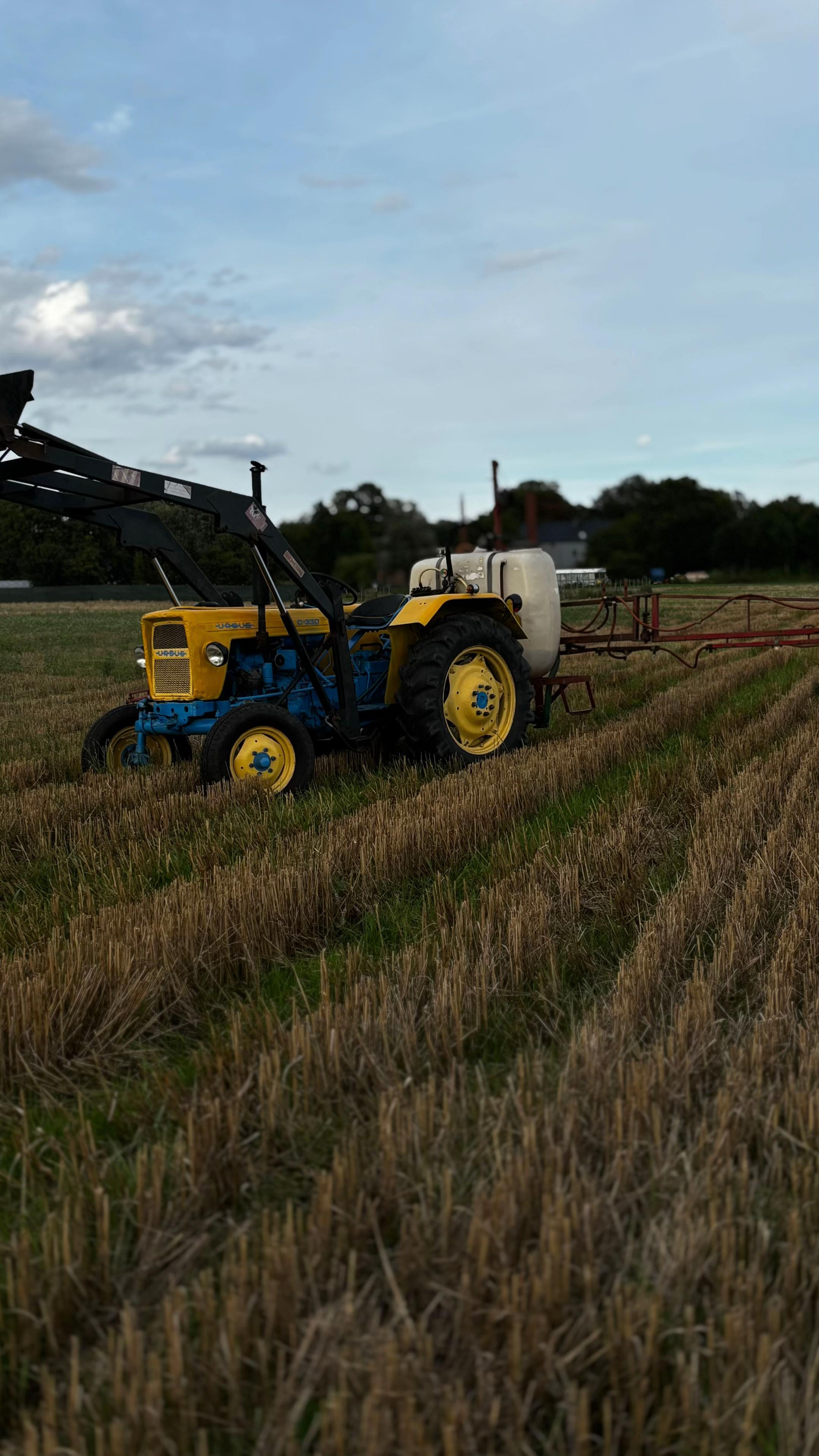 @Kubaa_kxf
