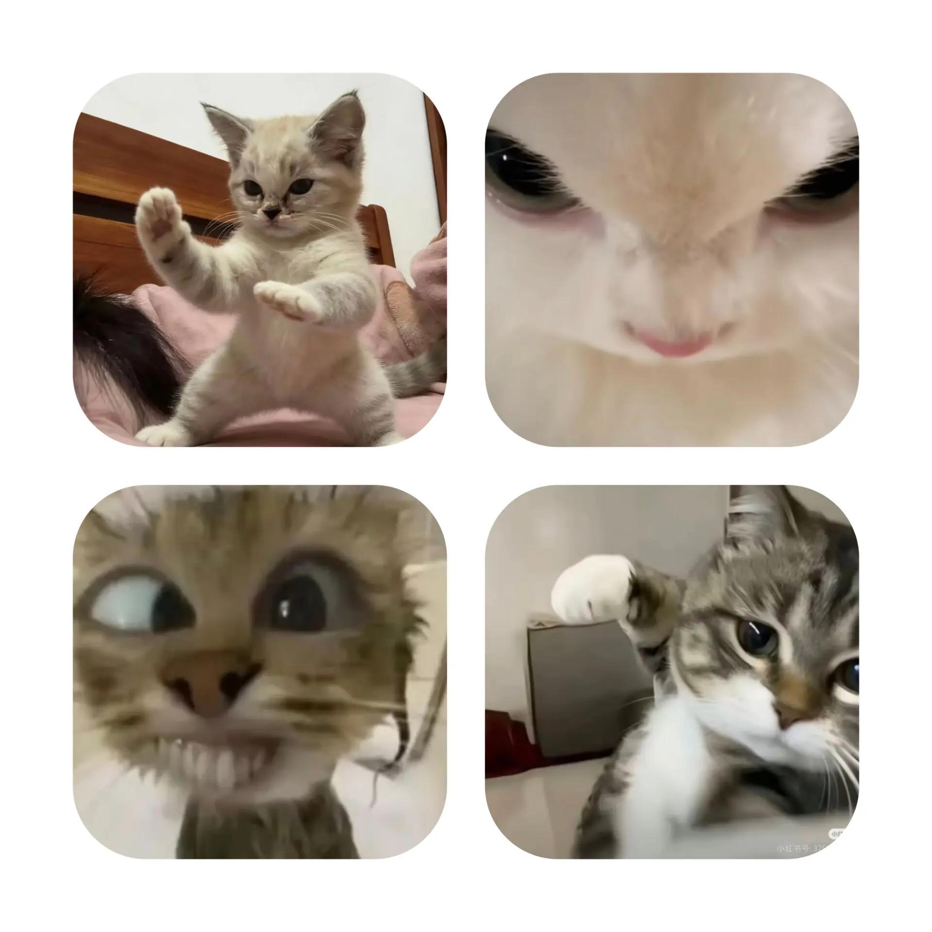 @𝗡𝗲𝗴𝗮𝗿