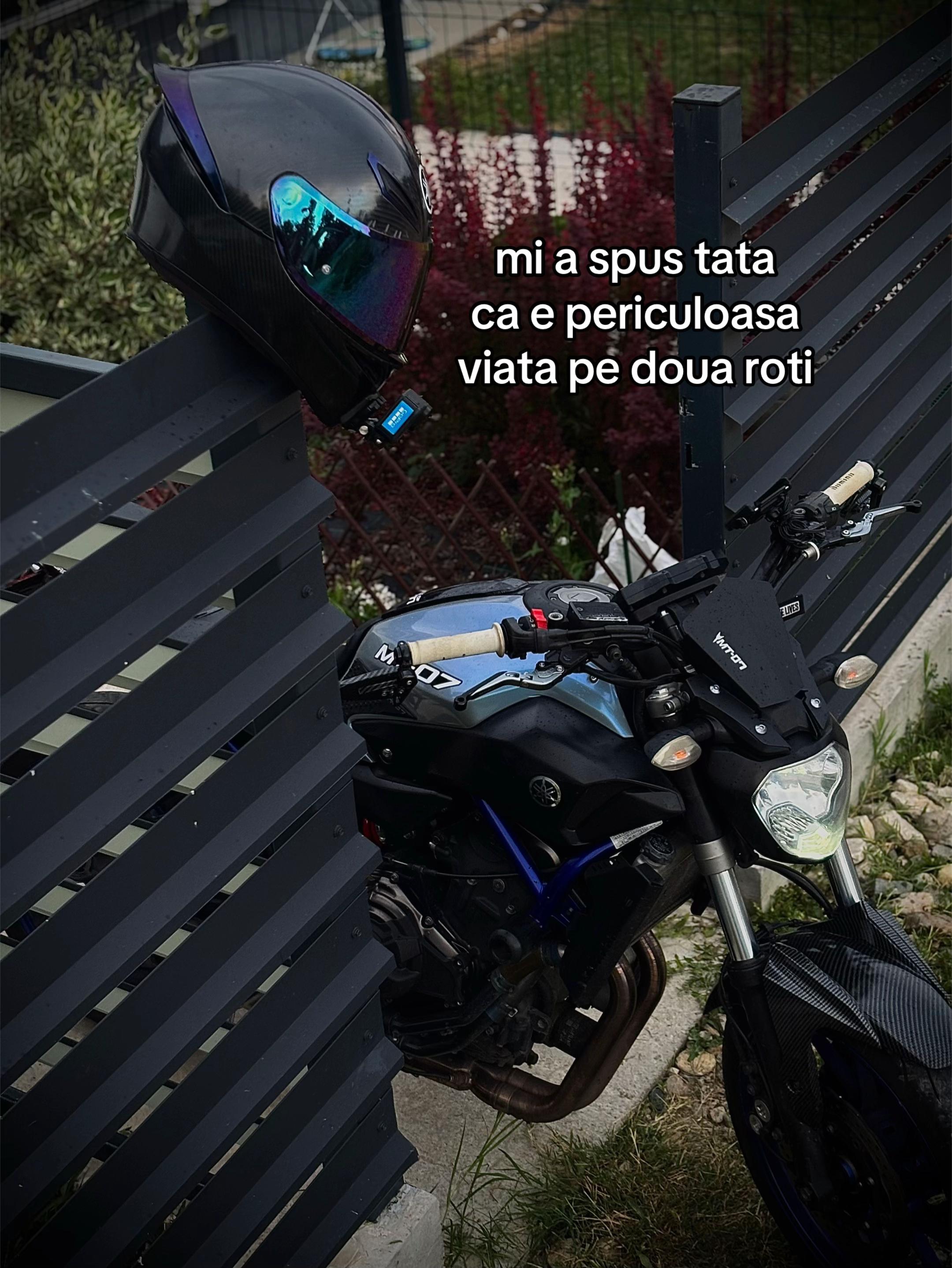 @dvvid__cris