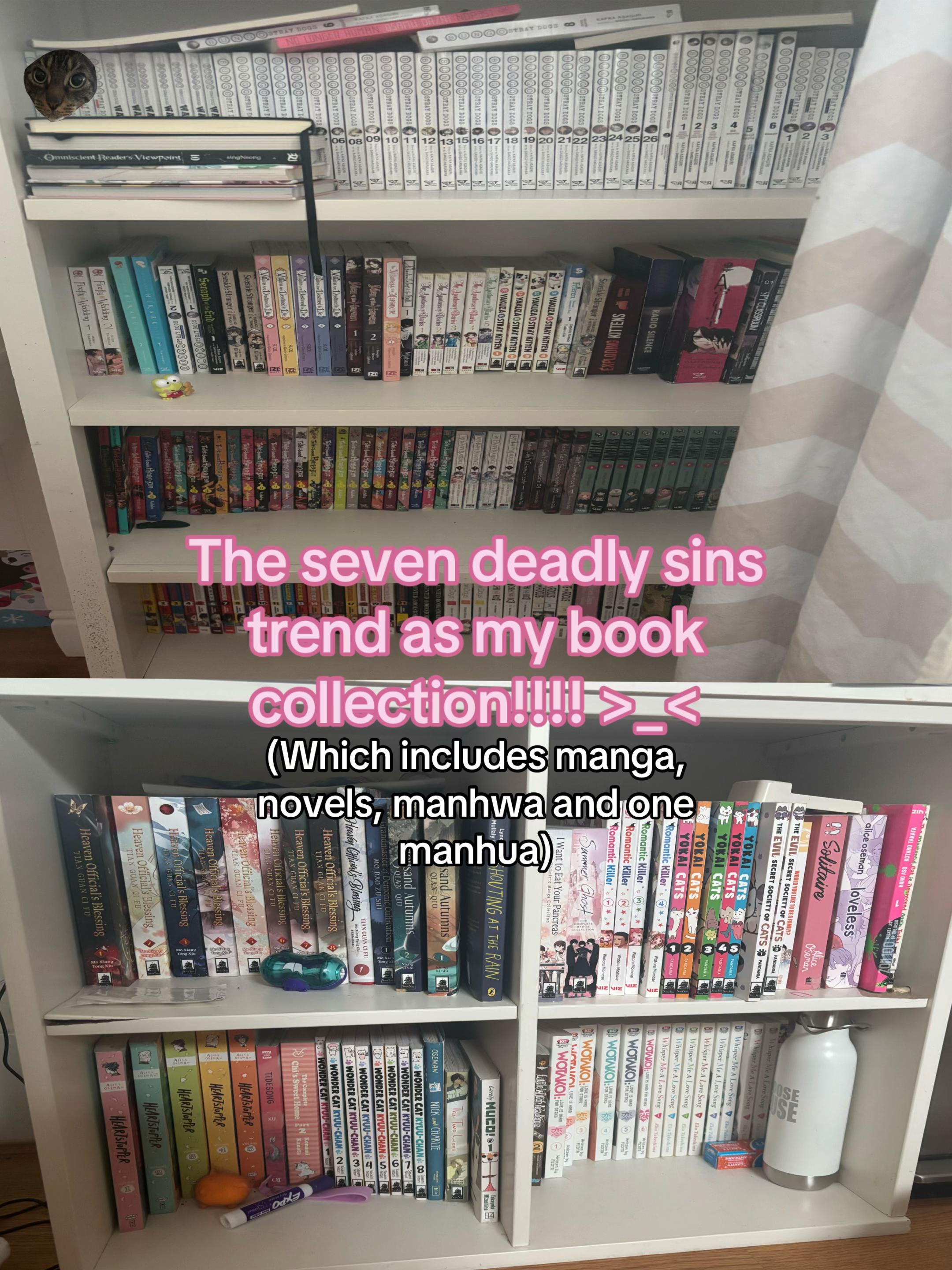 @Yuki || Mitya no.1 fan