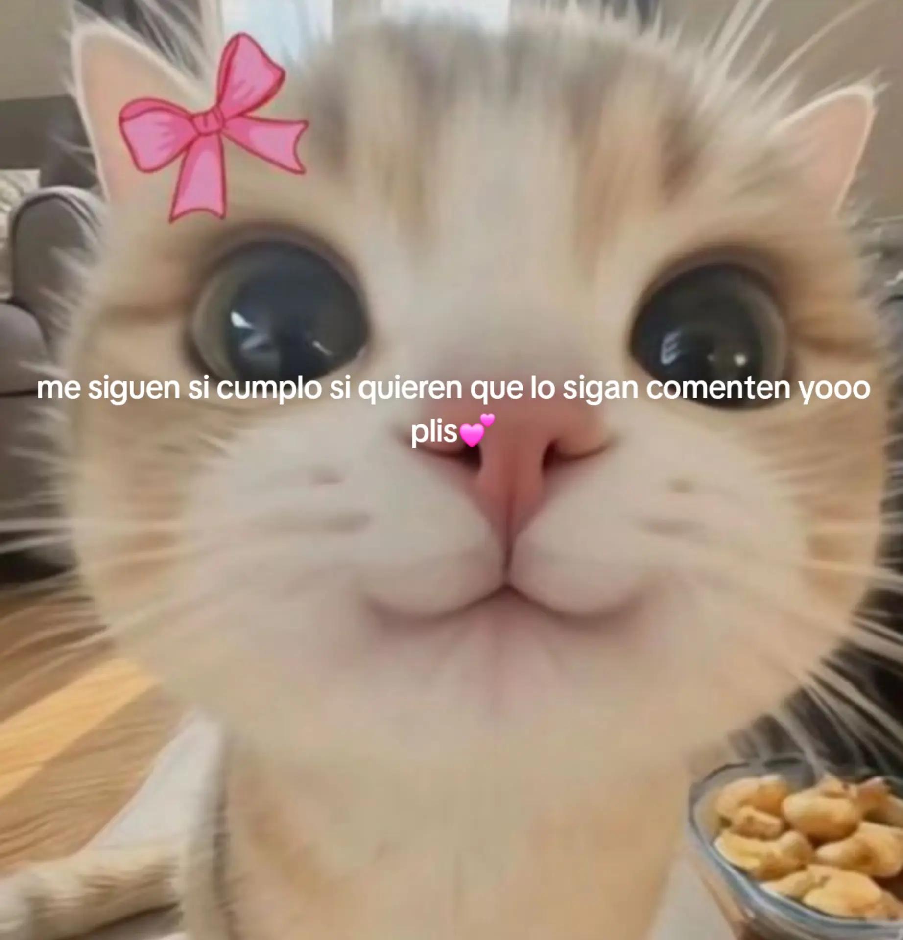 @ᥫ᭡ ..꩜🐰 naye🐰ᥫ᭡༘ ♡