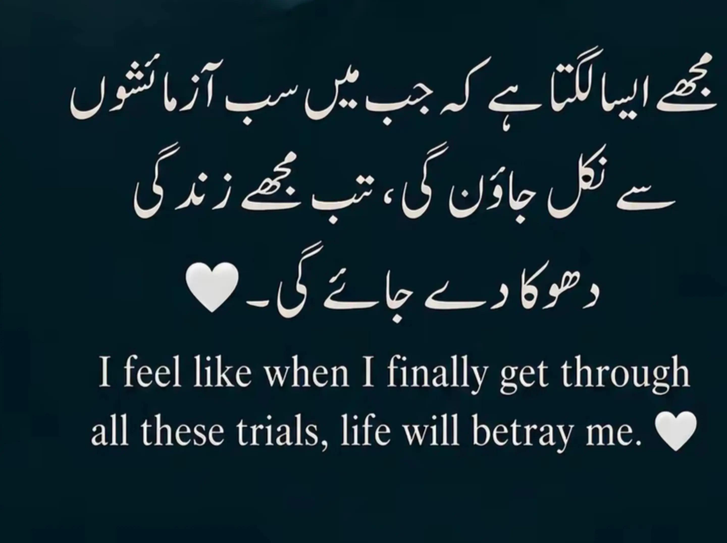 @Saima Rashid