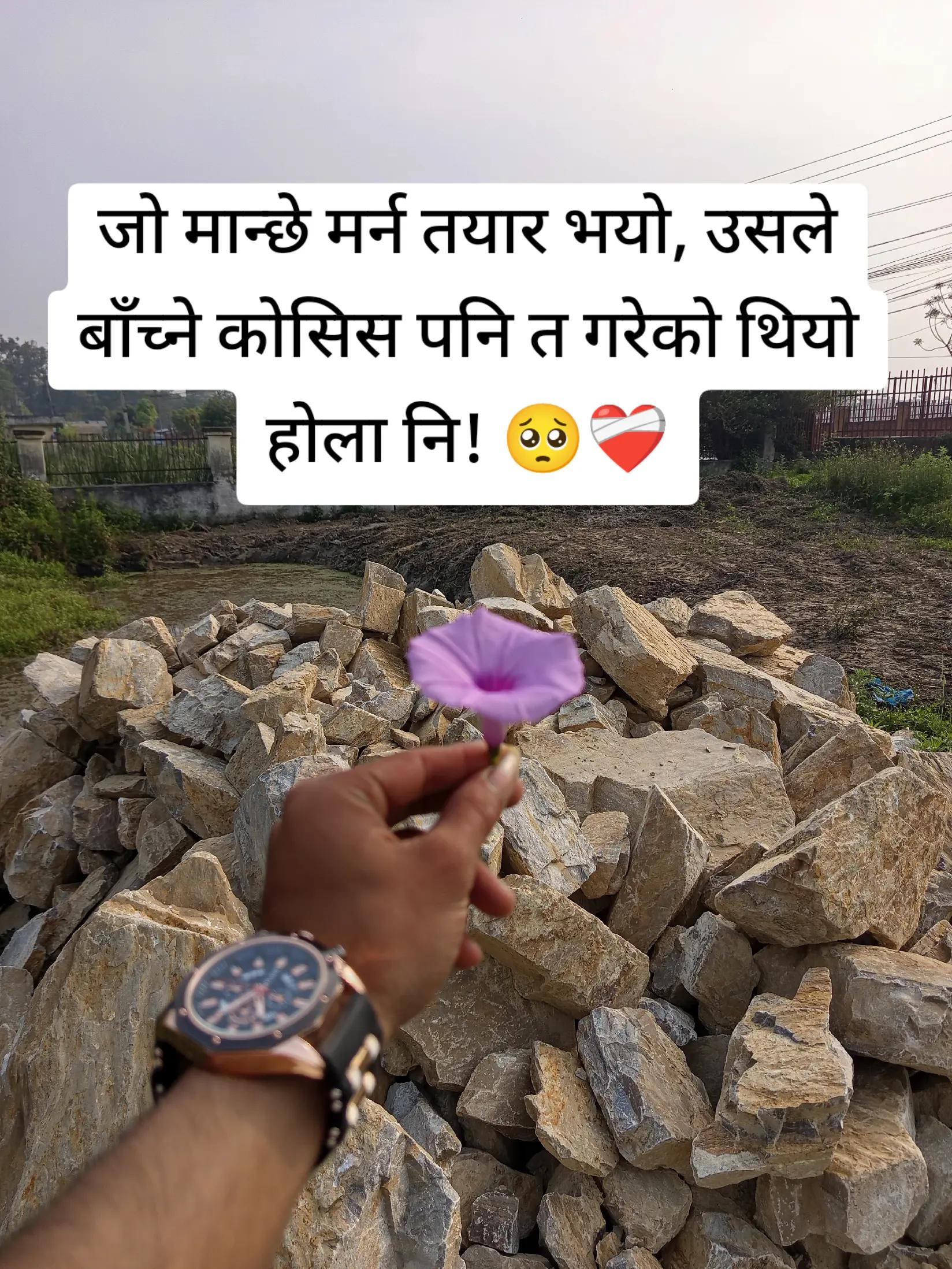 @BibekBhattarai697ЁЯЗ│ЁЯЗ╡ЁЯдЮ