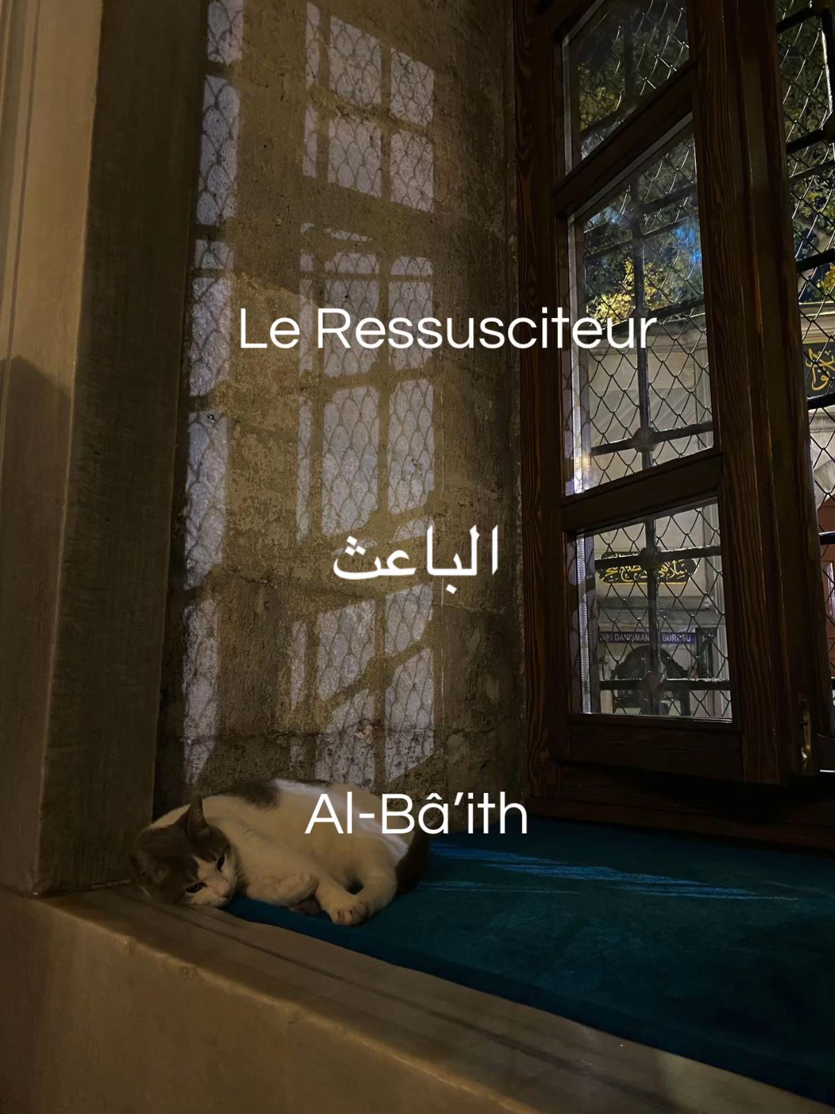 @Nuriyah 🤍