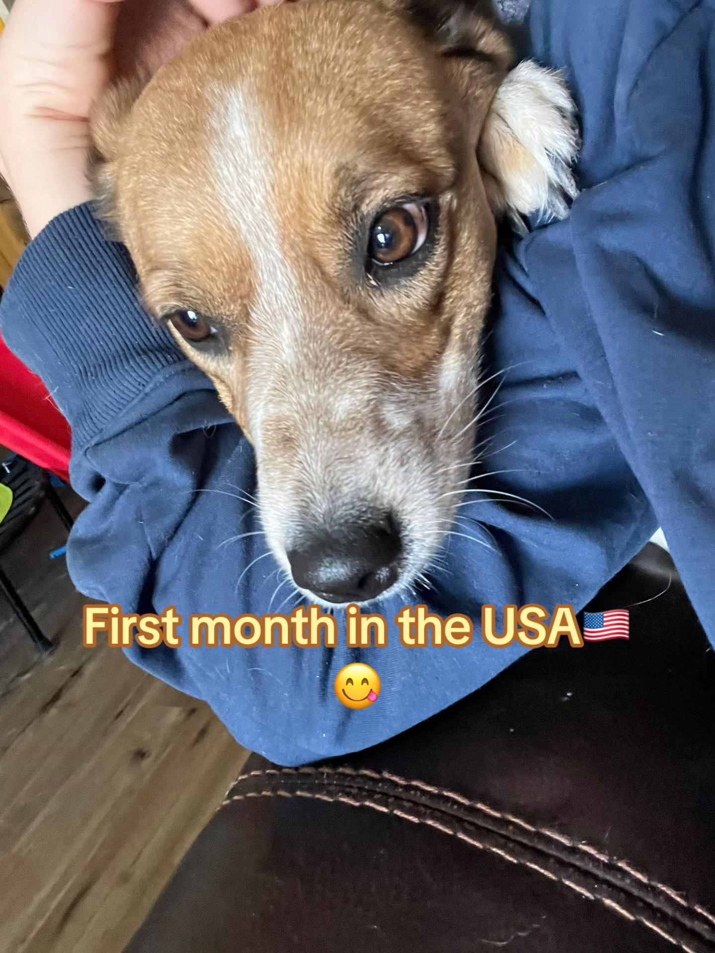 @Julia🇺🇸💕