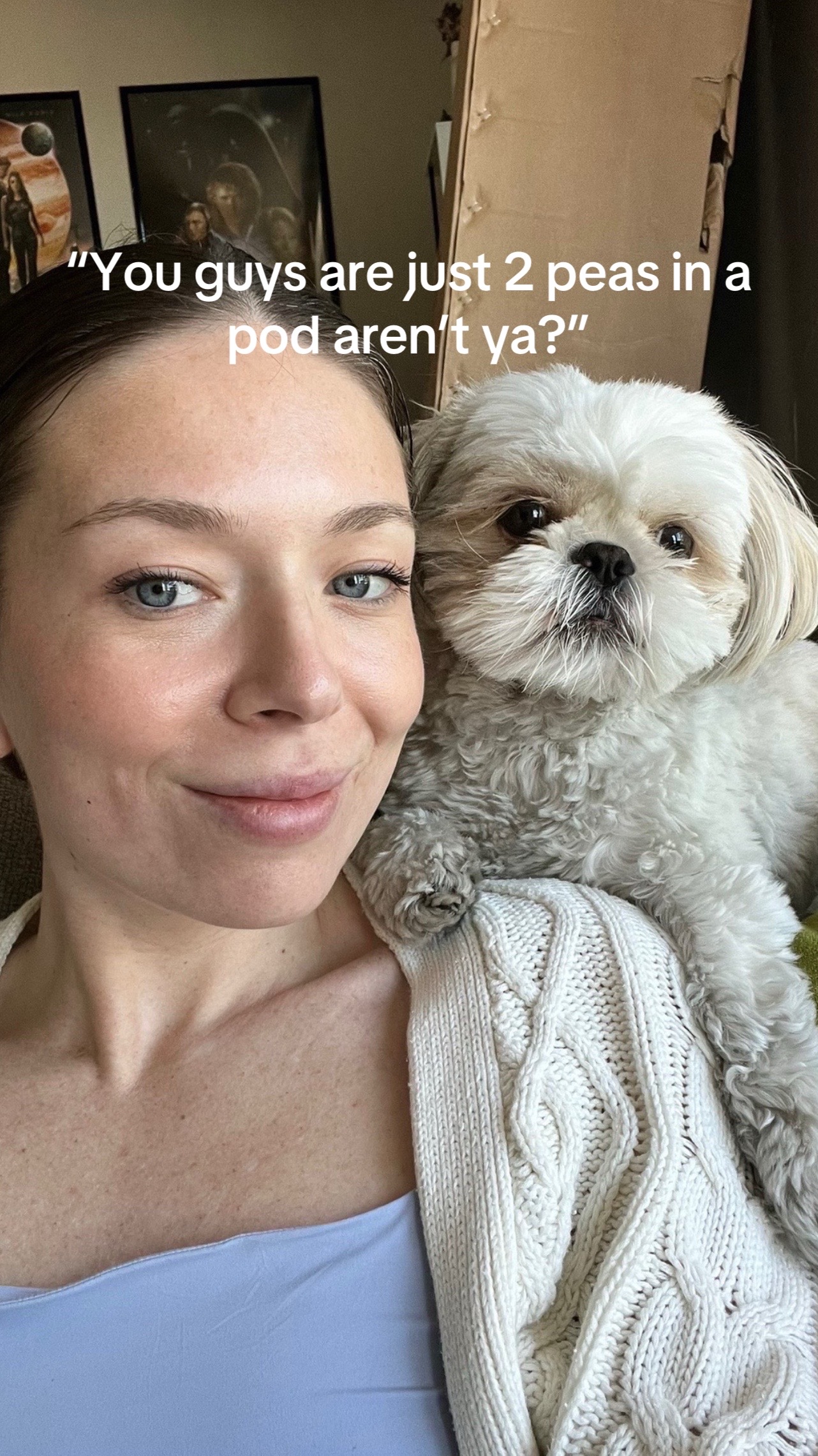 @Hugh the Shih Tzu