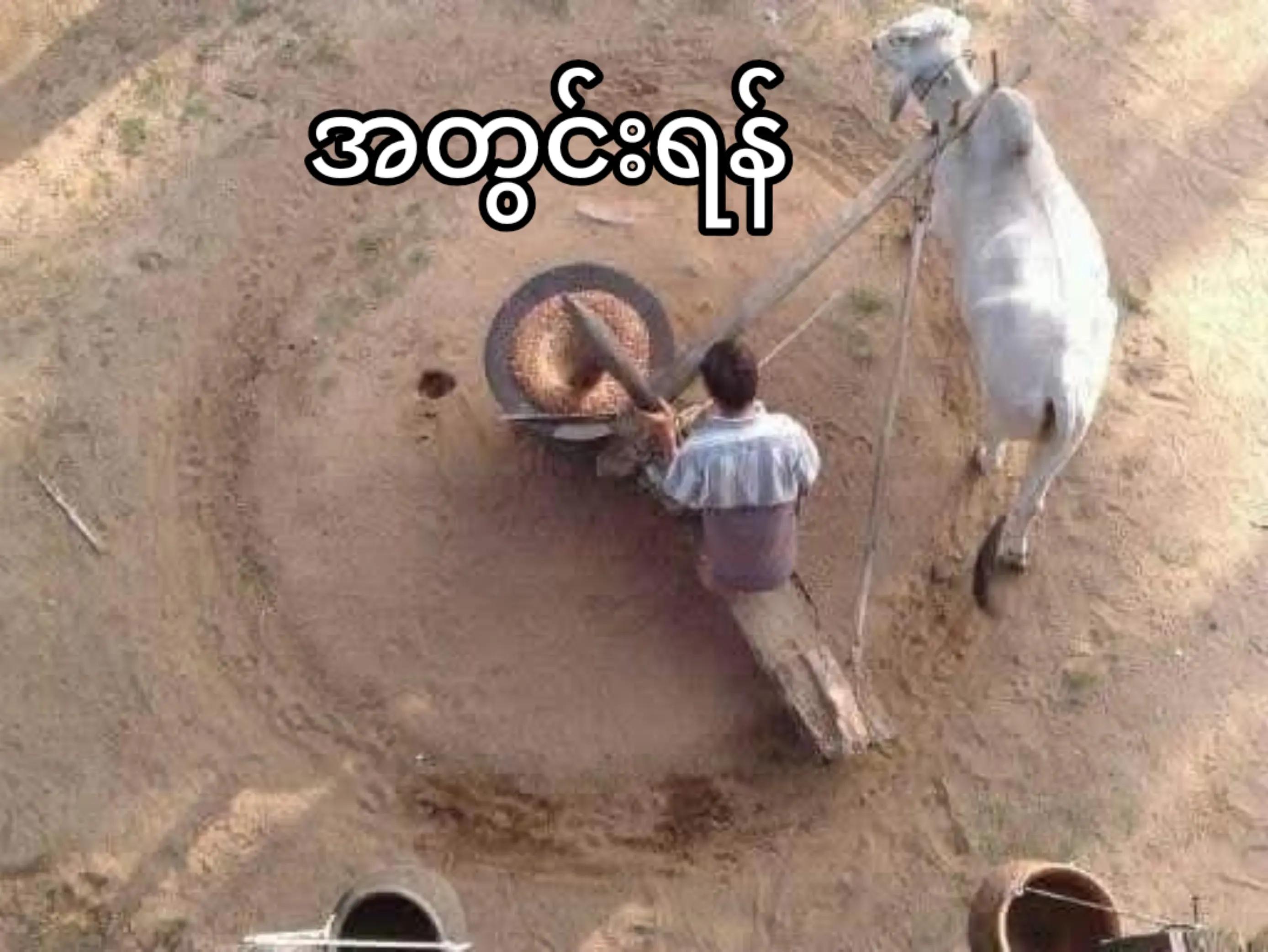 @Win Kyaw Naing